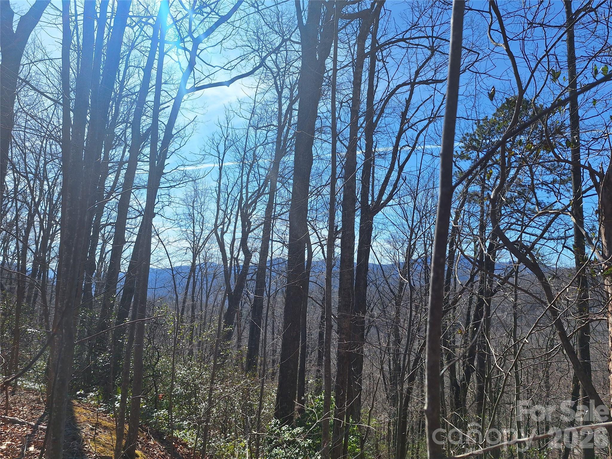 965 Wolf Pen Road Property Photo 26