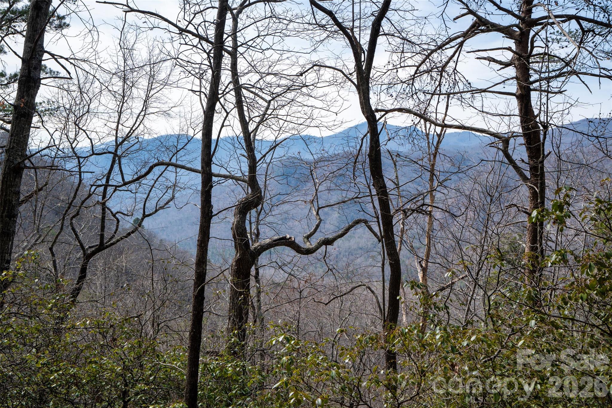 0 Rachel Ridge Property Photo 1