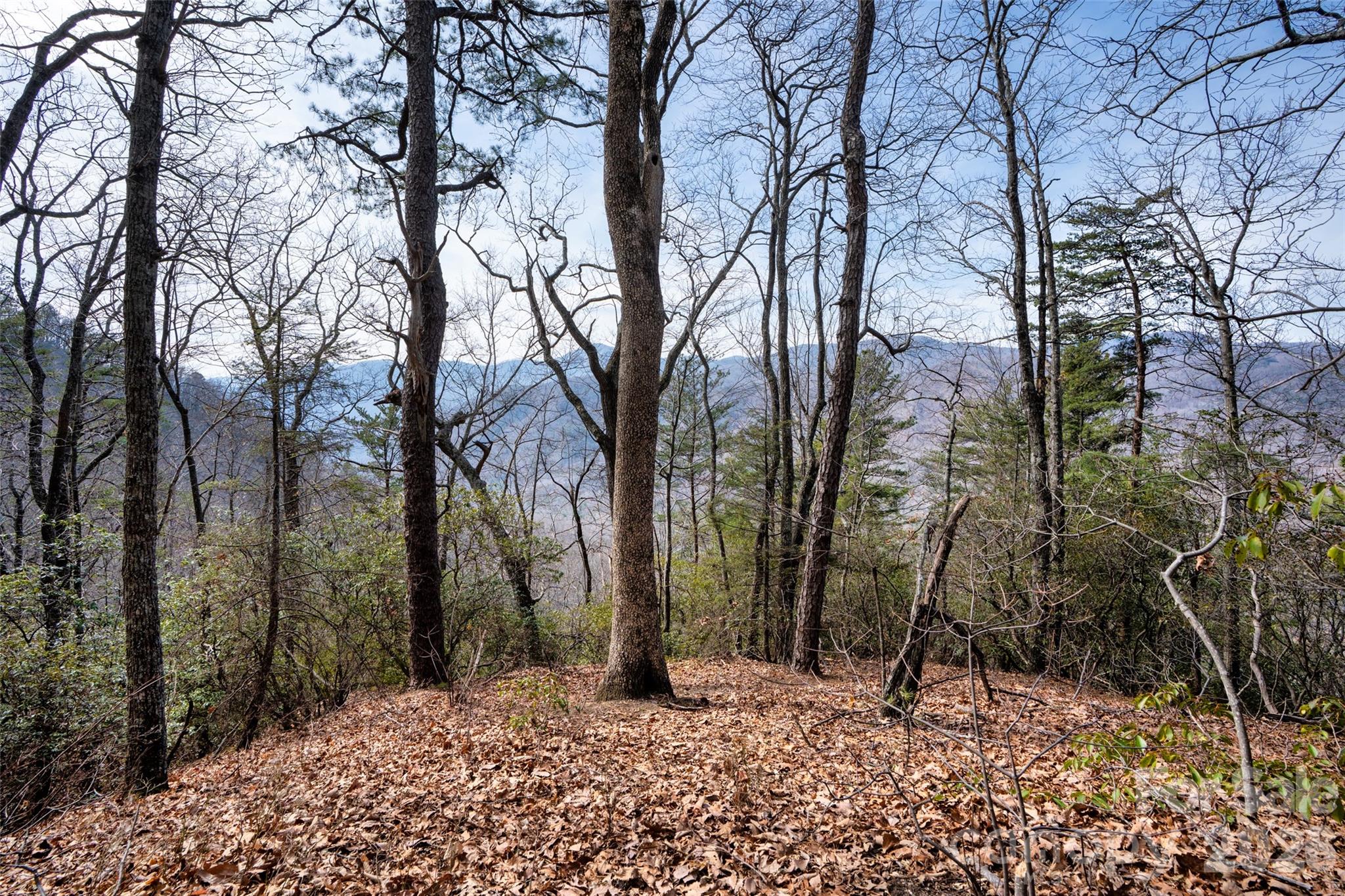 0 Rachel Ridge Property Photo 2