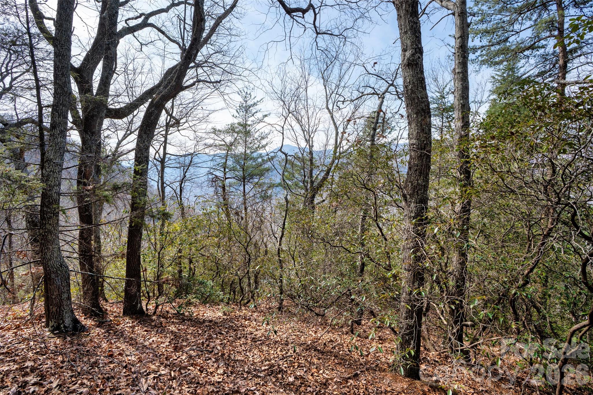 0 Rachel Ridge Property Photo 4