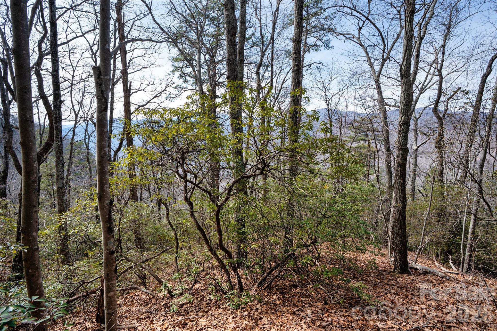 0 Rachel Ridge Property Photo 6