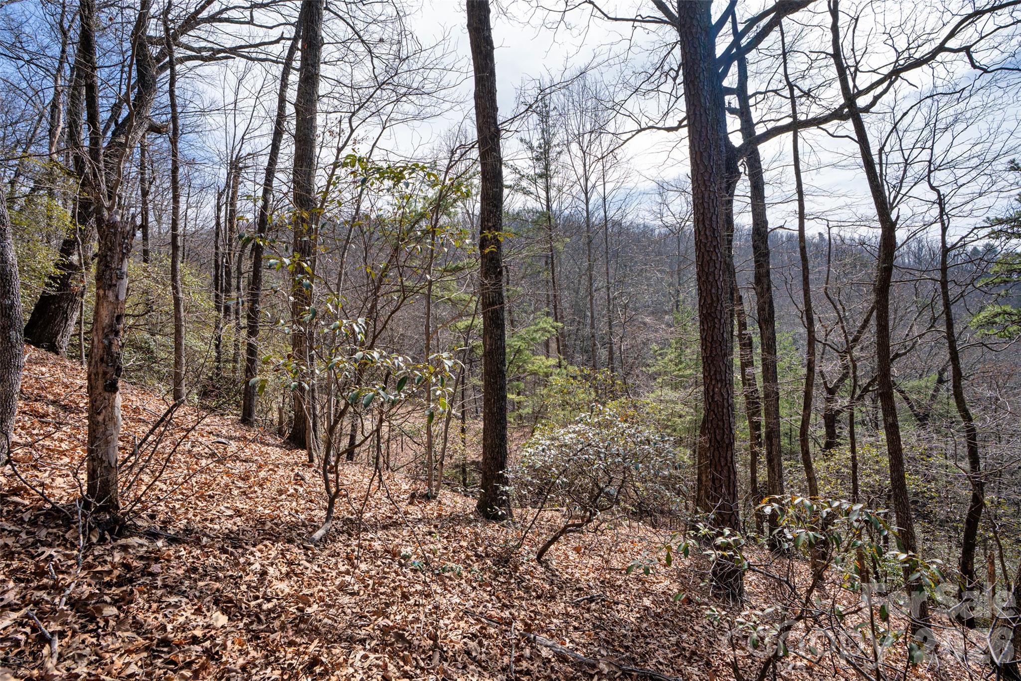 0 Rachel Ridge Property Photo 10