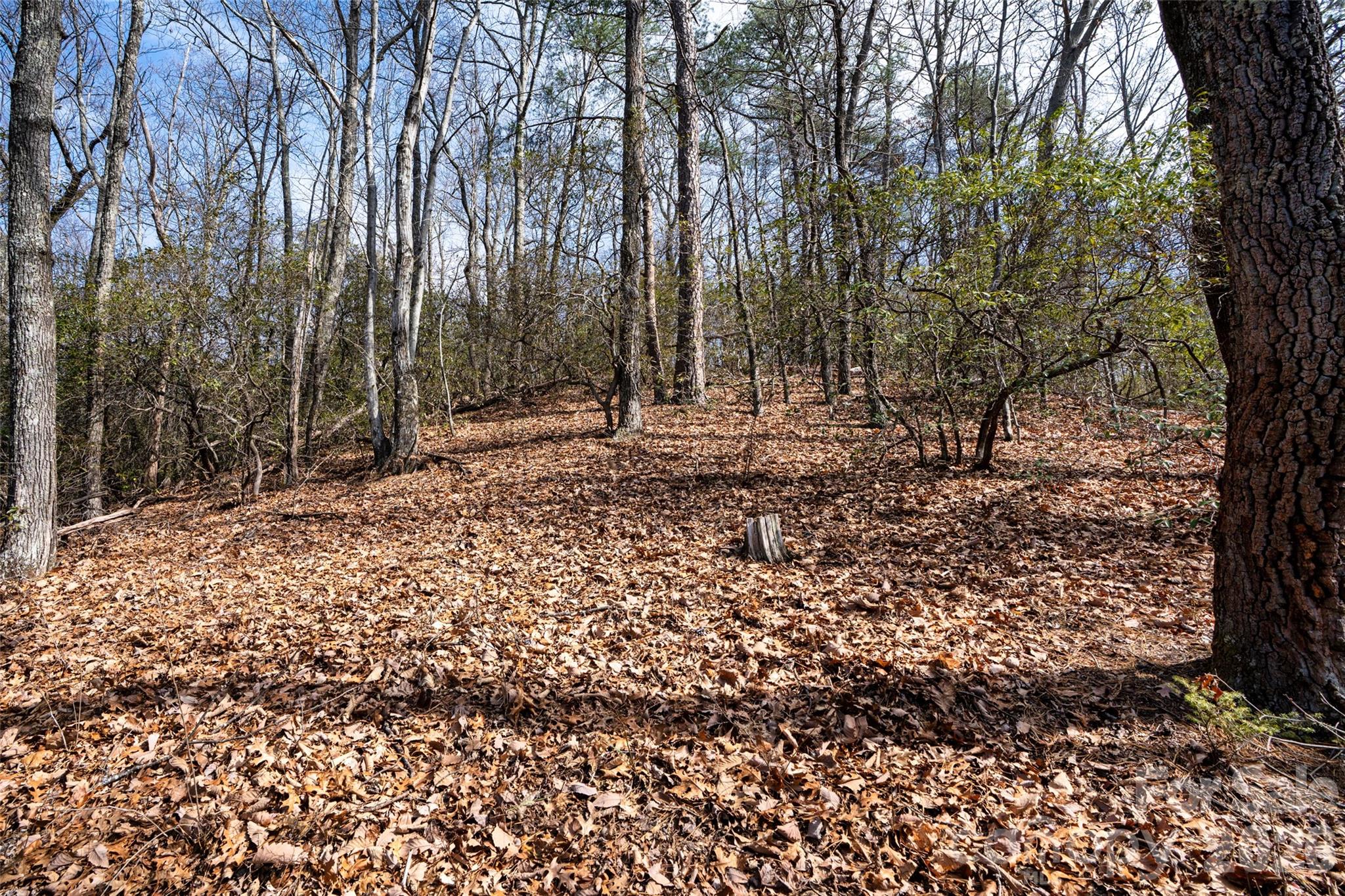 0 Rachel Ridge Property Photo 11