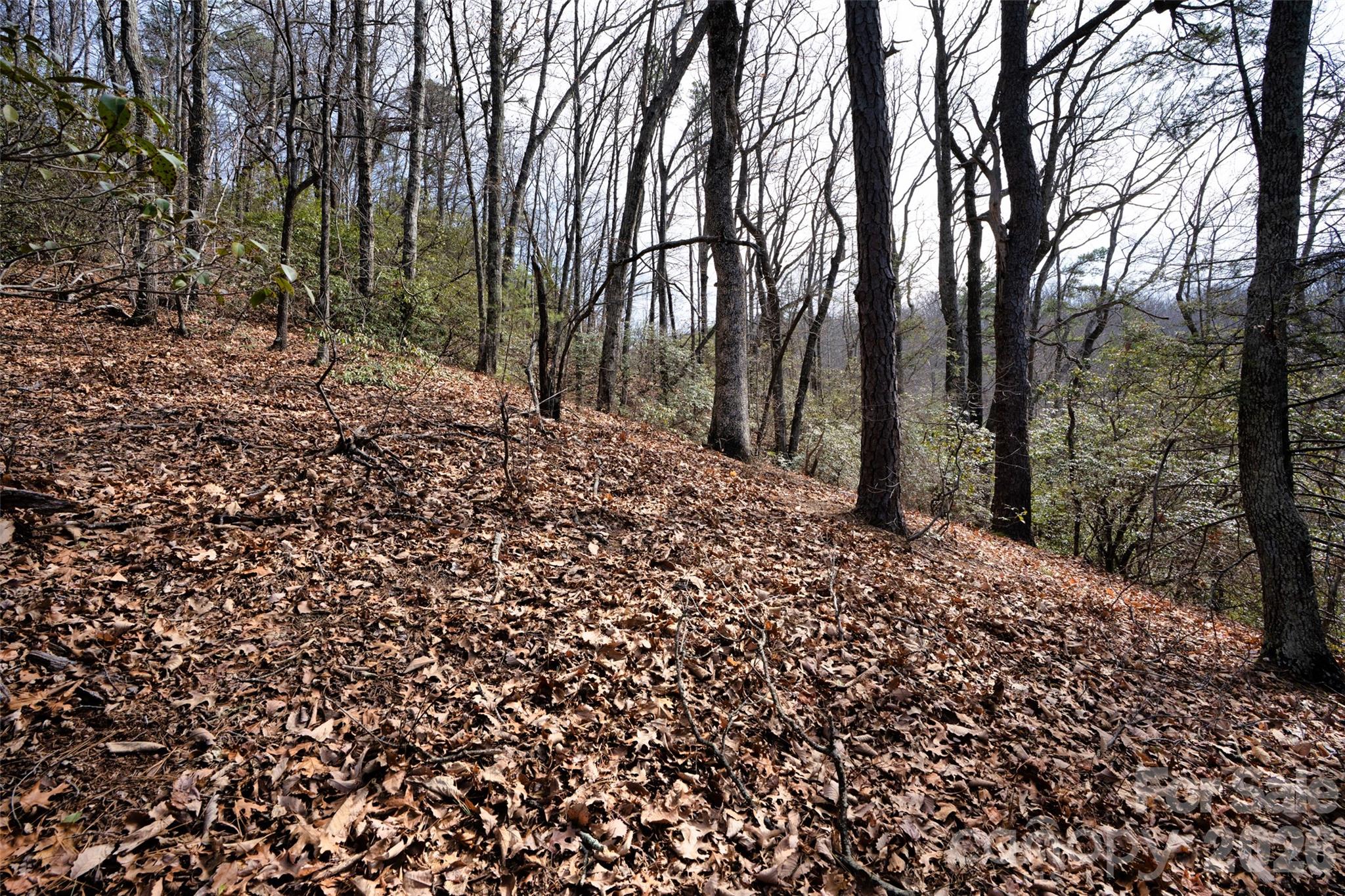 0 Rachel Ridge Property Photo 12