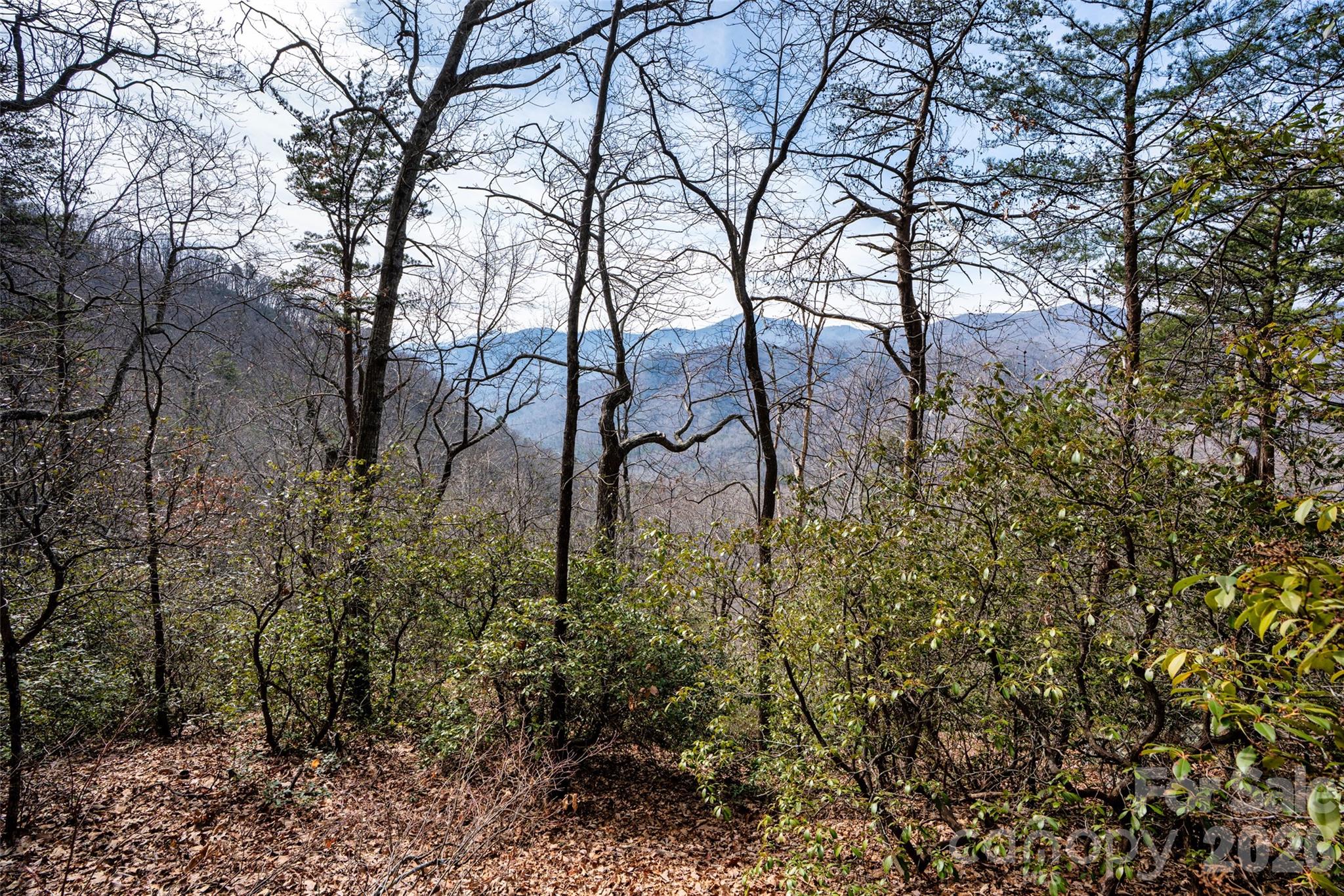 0 Rachel Ridge Property Photo 13