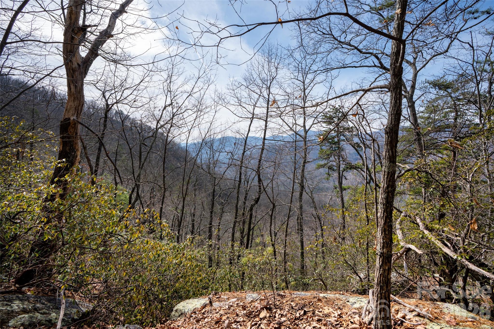 0 Rachel Ridge Property Photo 14