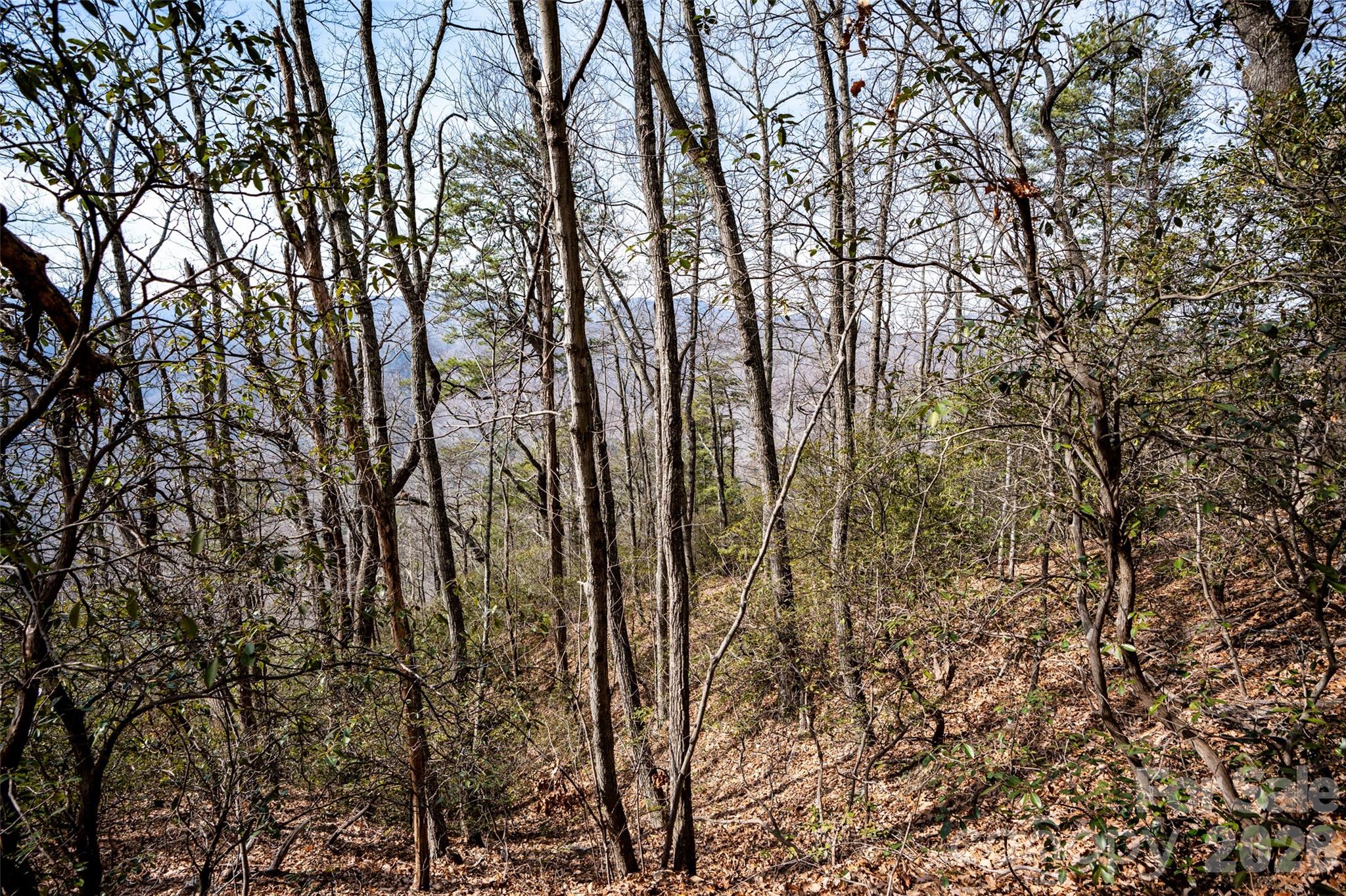 0 Rachel Ridge Property Photo 16