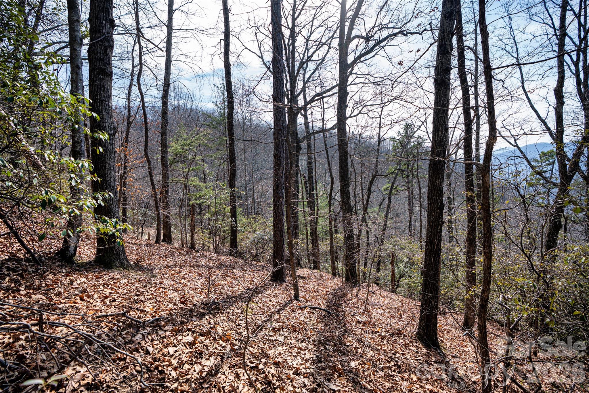 0 Rachel Ridge Property Photo 17