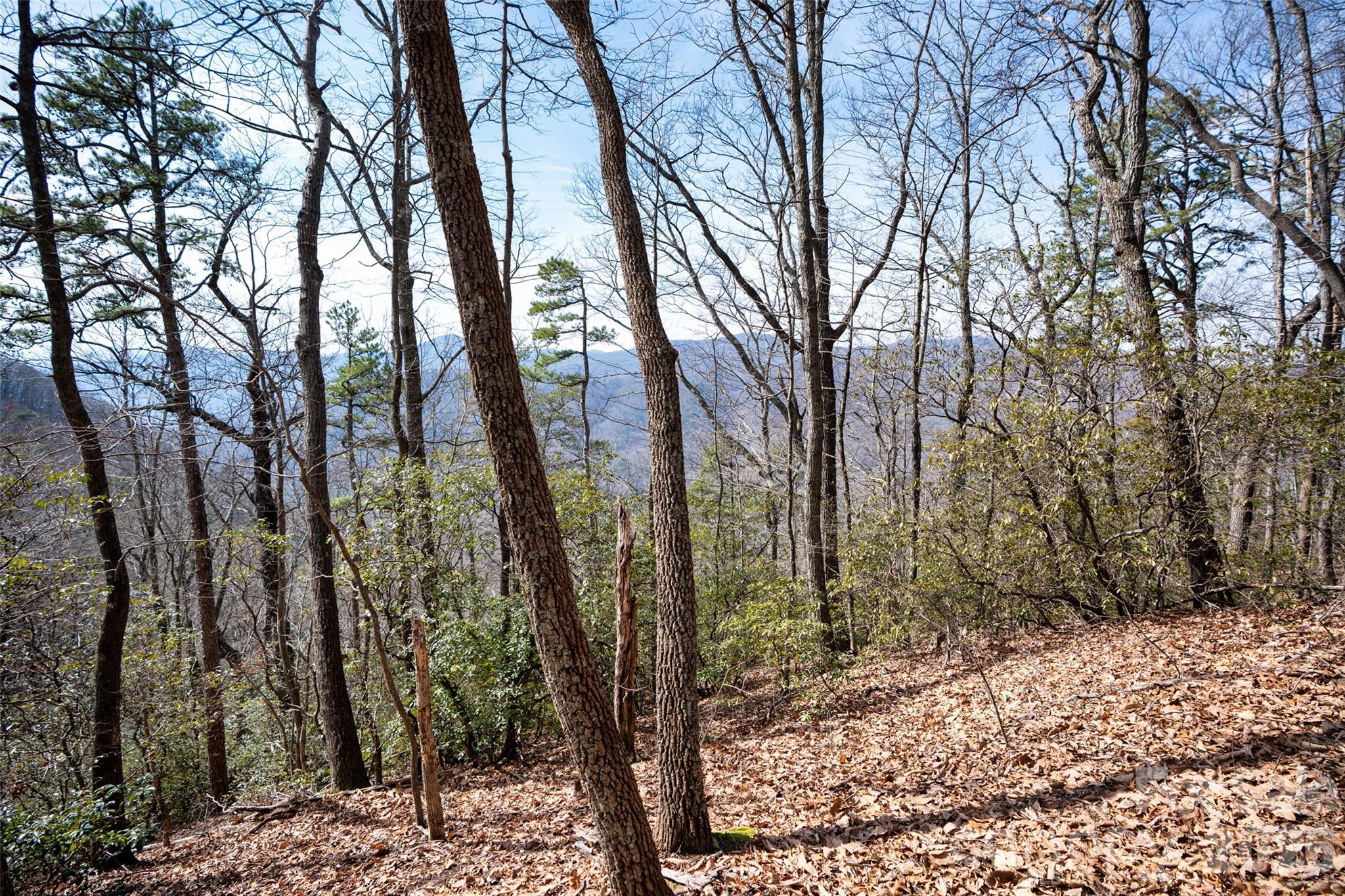 0 Rachel Ridge Property Photo 18