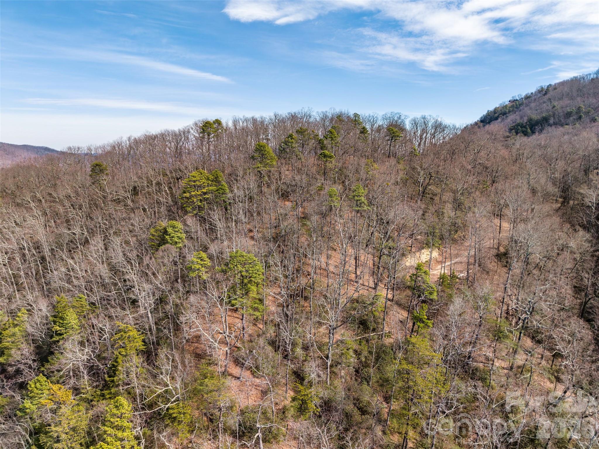0 Rachel Ridge Property Photo 22