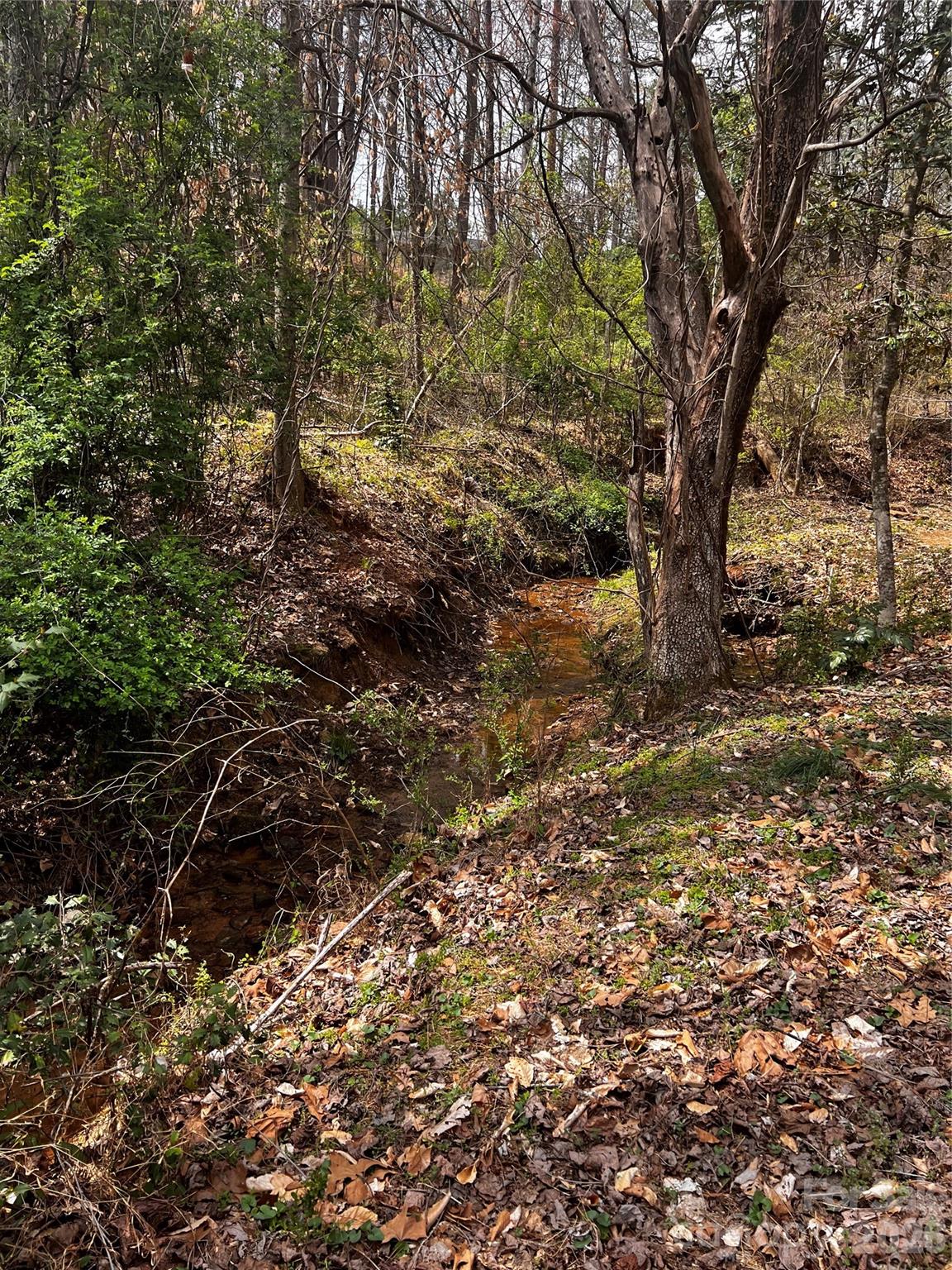 0000 Cemetery Loop Property Photo 1