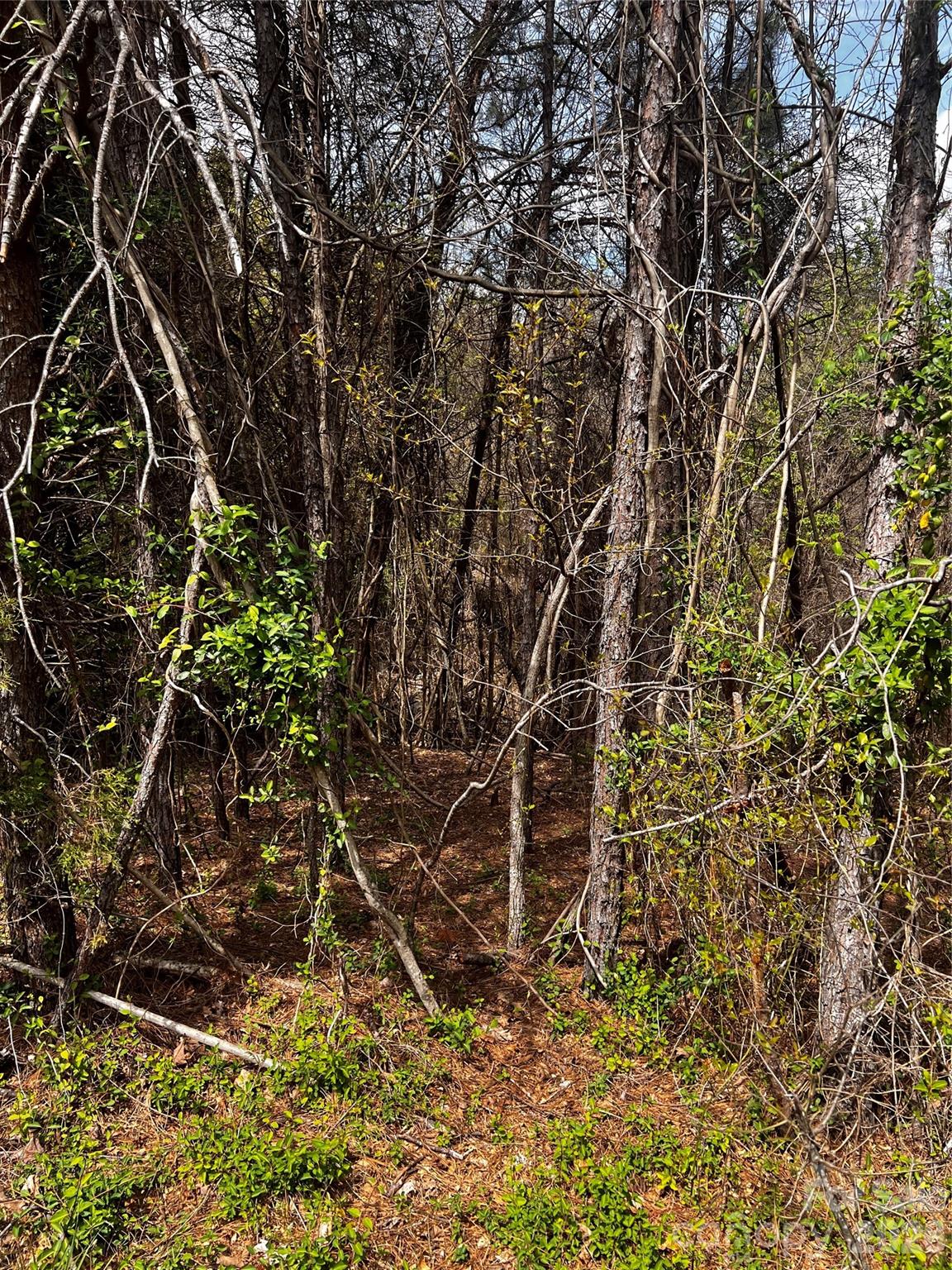 0000 Cemetery Loop Property Photo 2