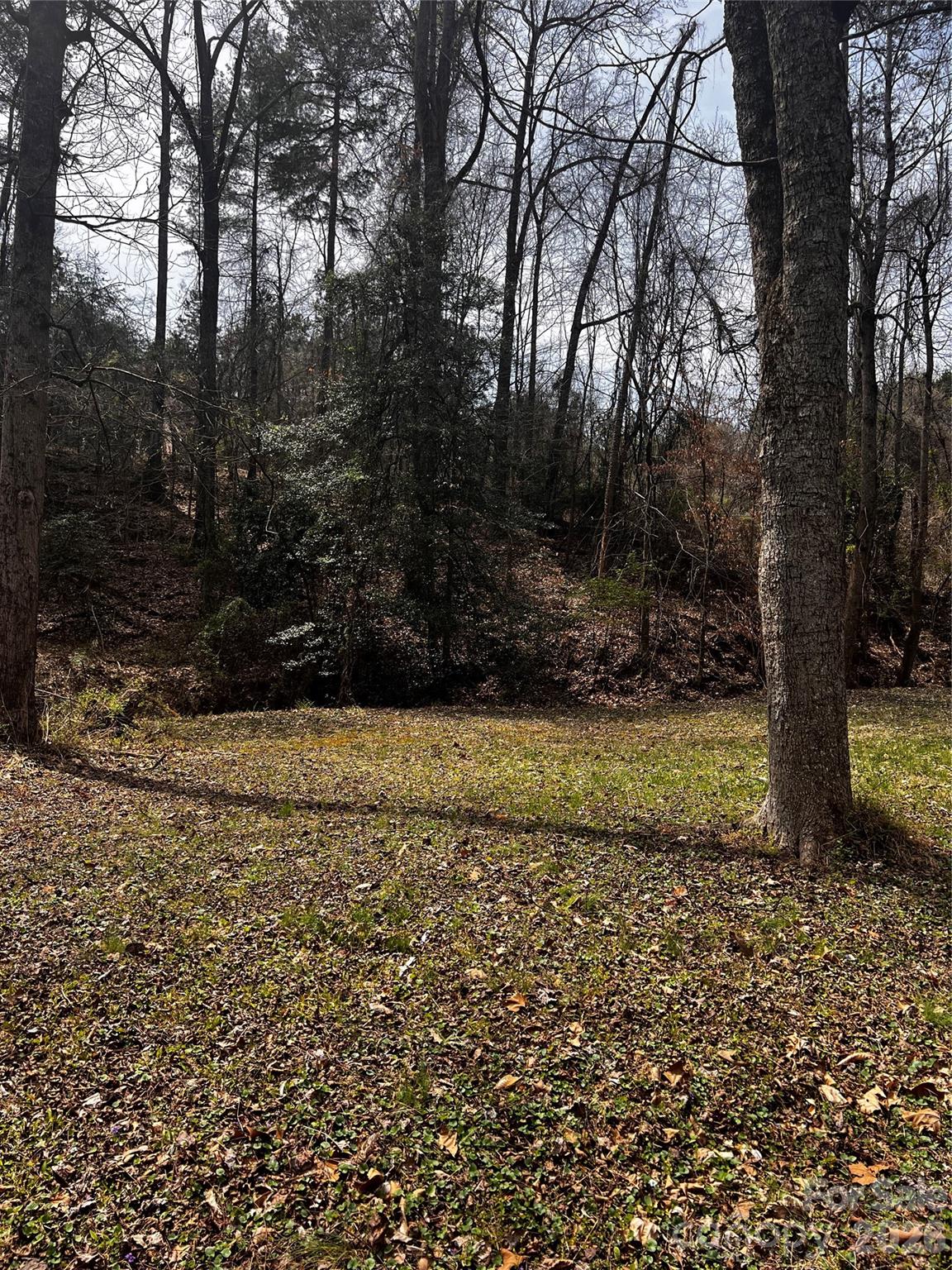 0000 Cemetery Loop Property Photo 3