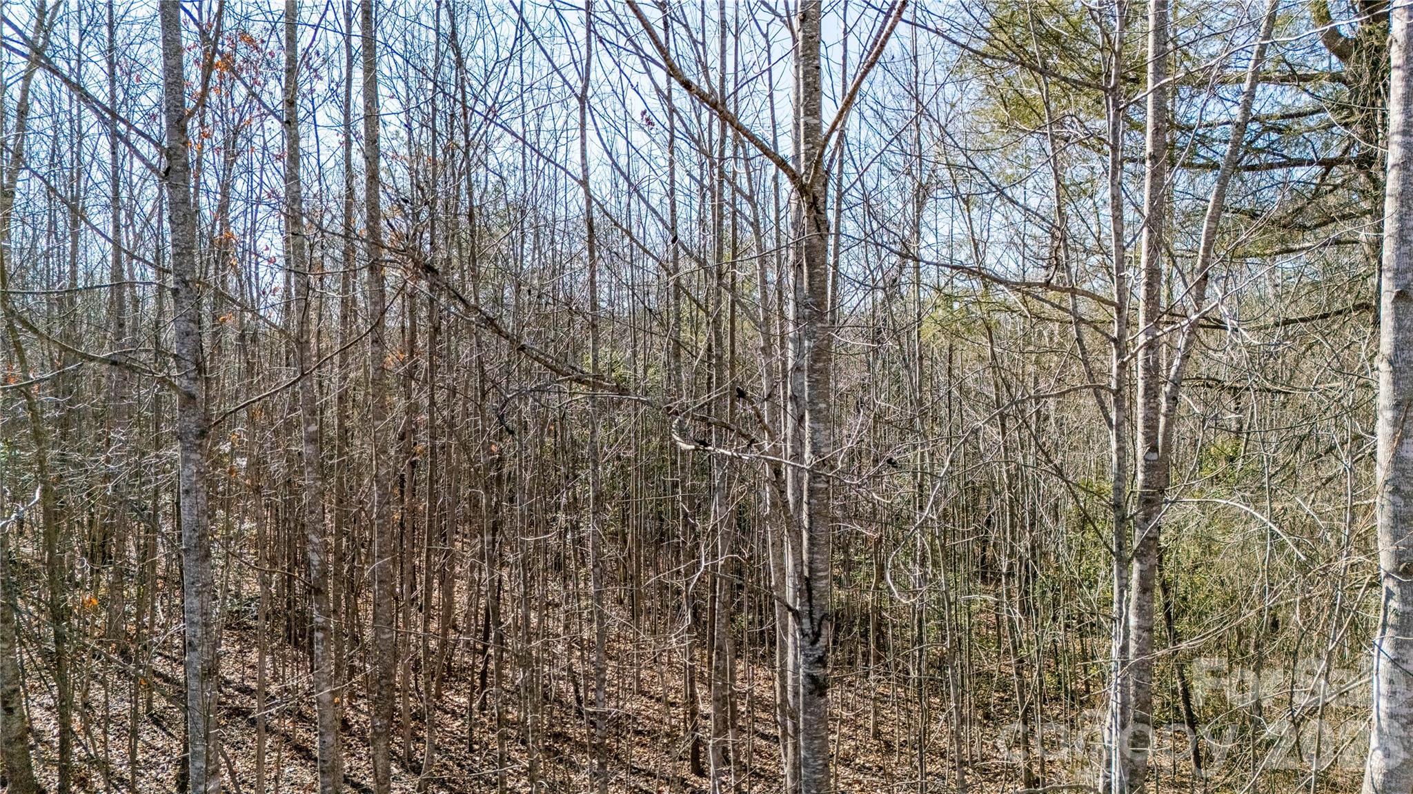 000 Eagles Nest Drive 8 Property Photo 5