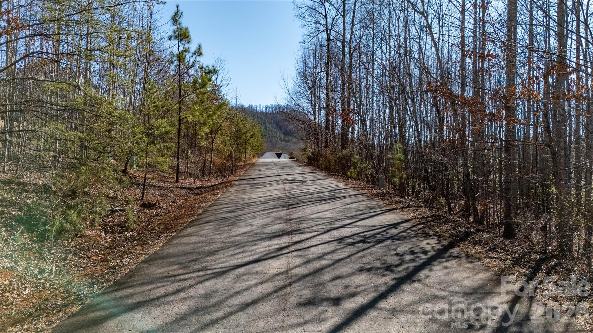 000 Eagles Nest Drive 8 Property Photo 6