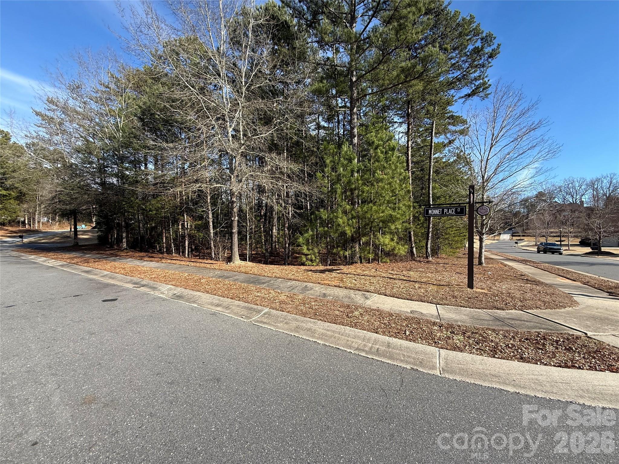 16213 Monnet Place Court Property Photo 1