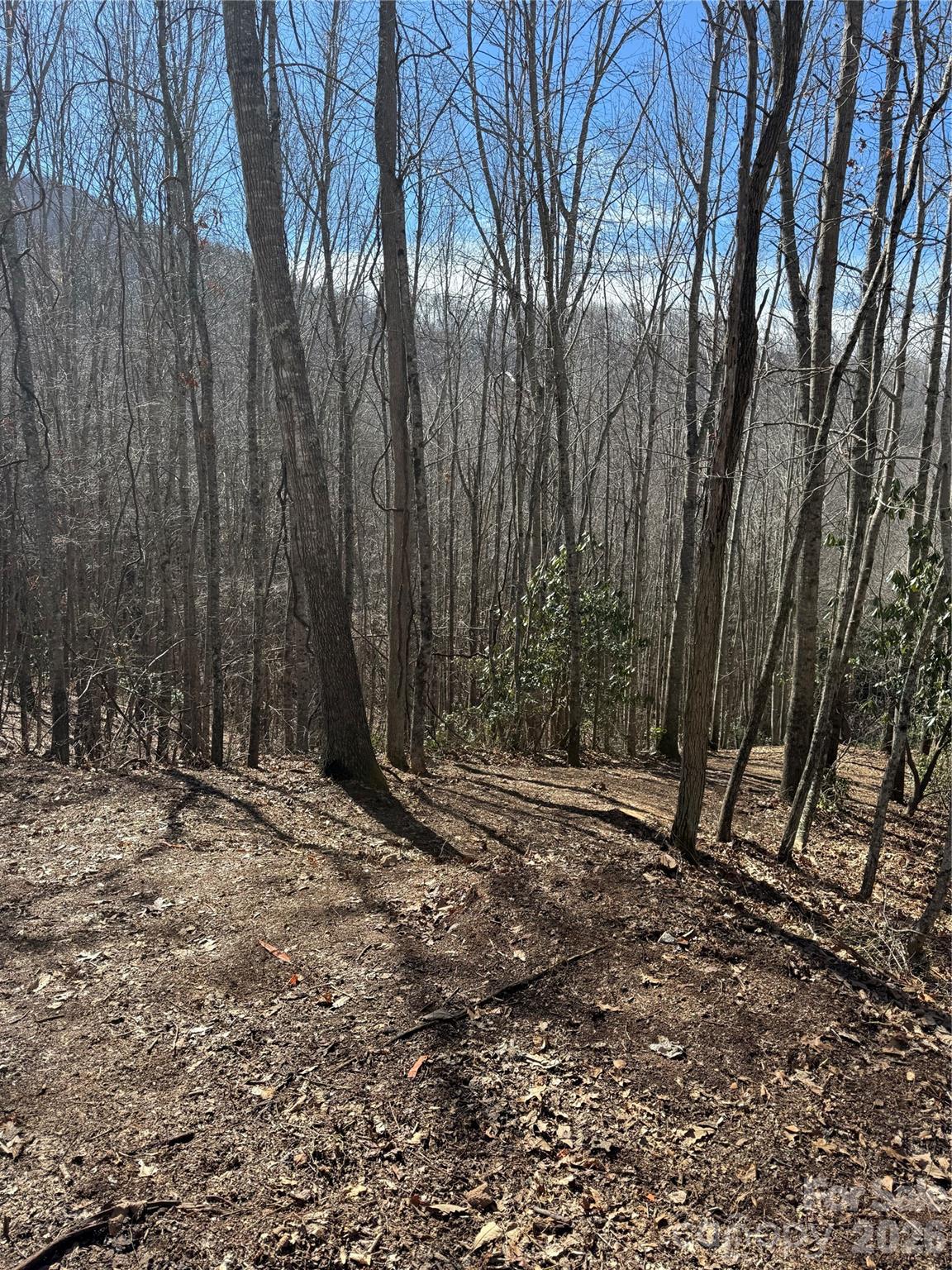 236 Down The Hill Road Property Photo 2