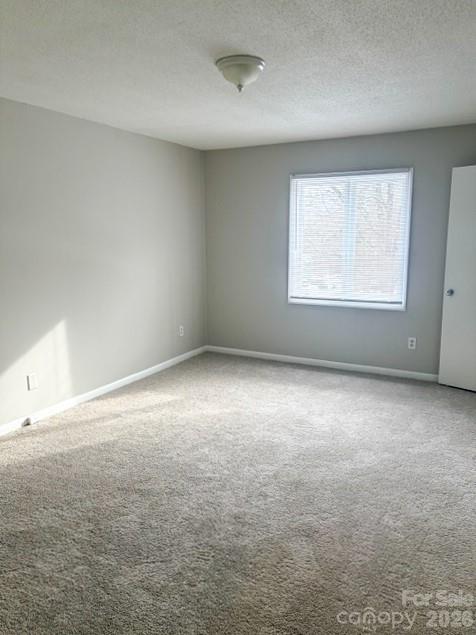 1903 Beechtree Court Property Photo 5