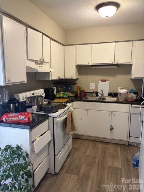 1903 Beechtree Court Property Photo 37