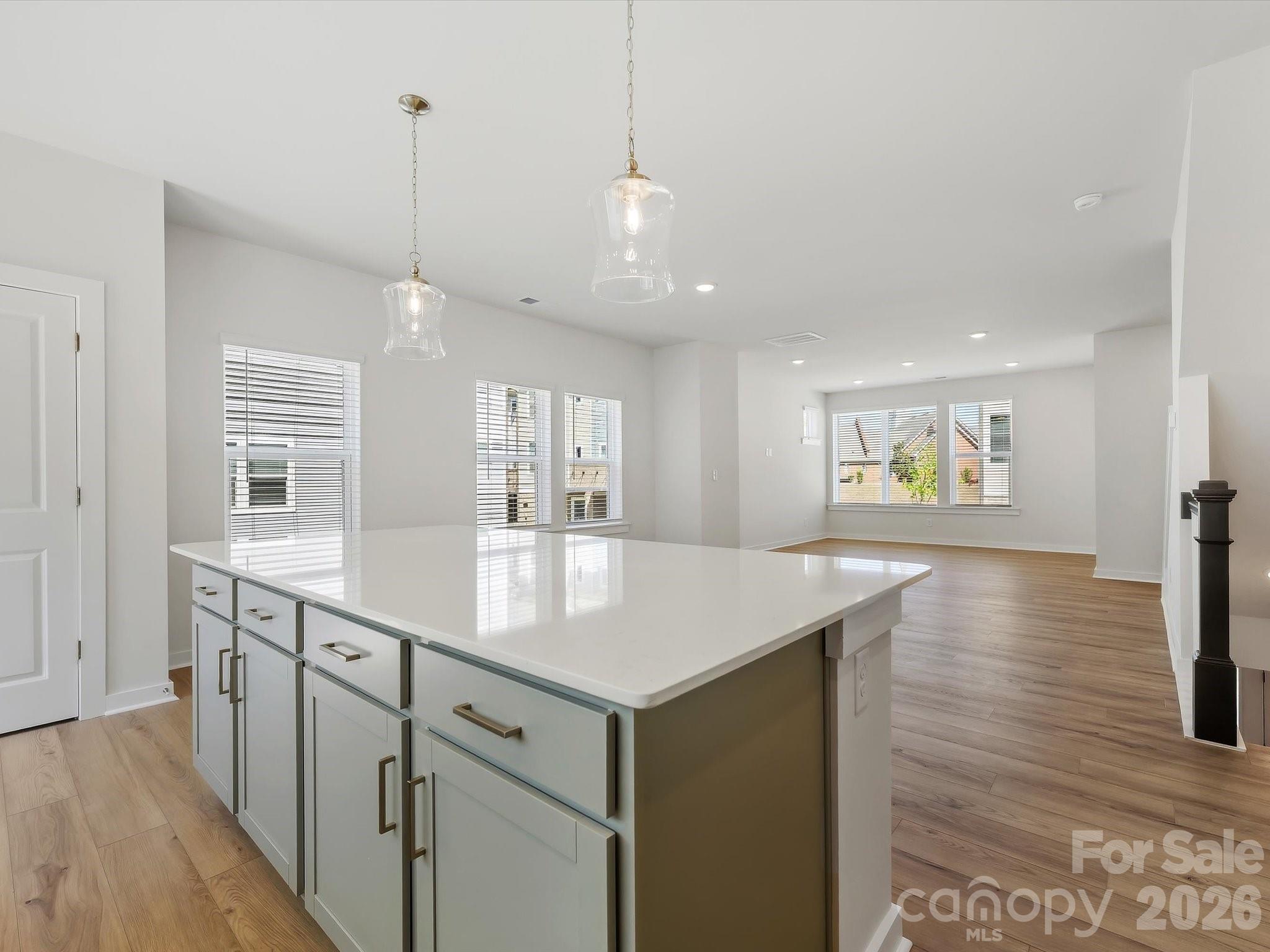 1535 Lithium Lane Property Photo 3