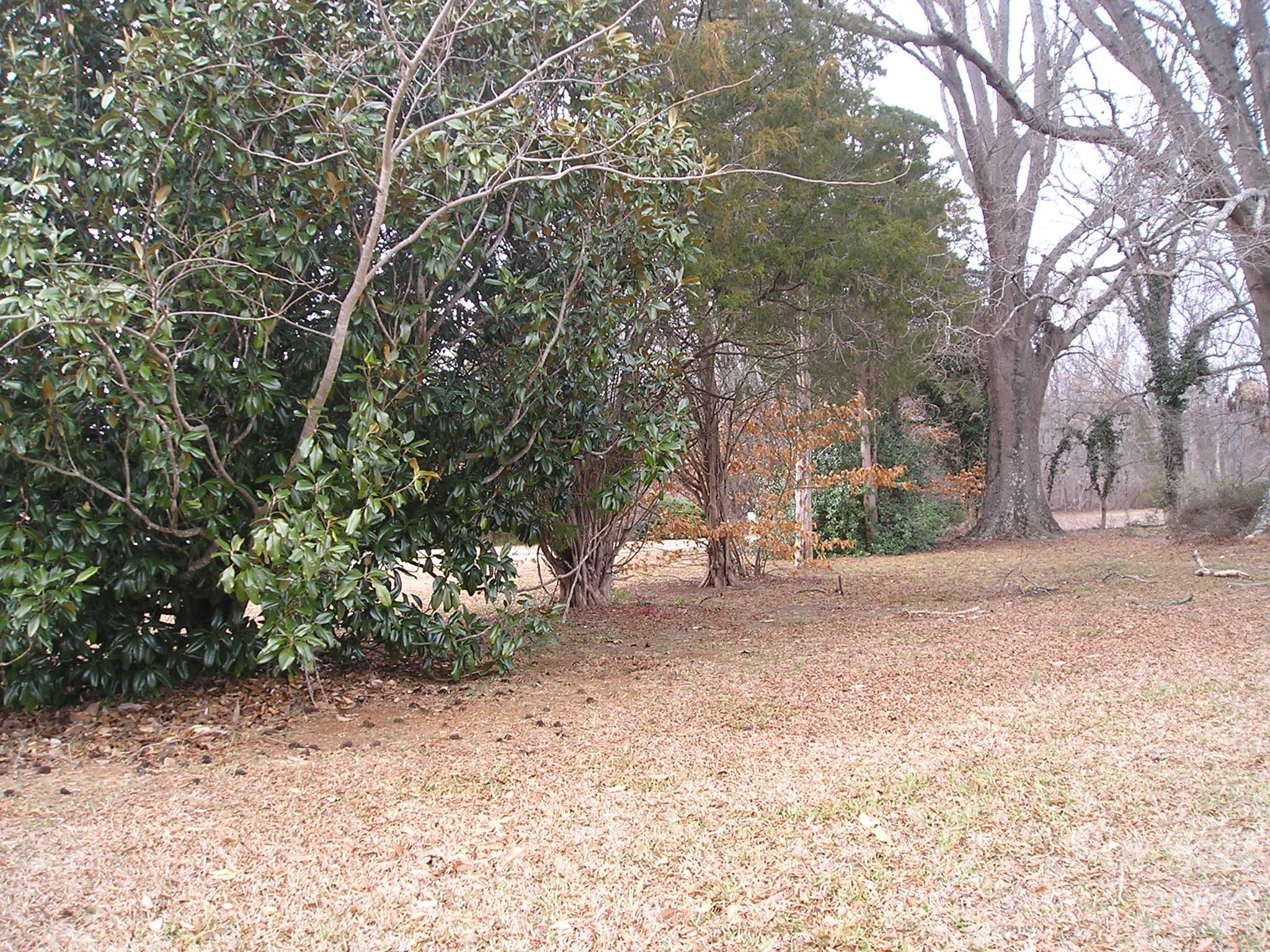 3704 Weddington Road Property Photo 18