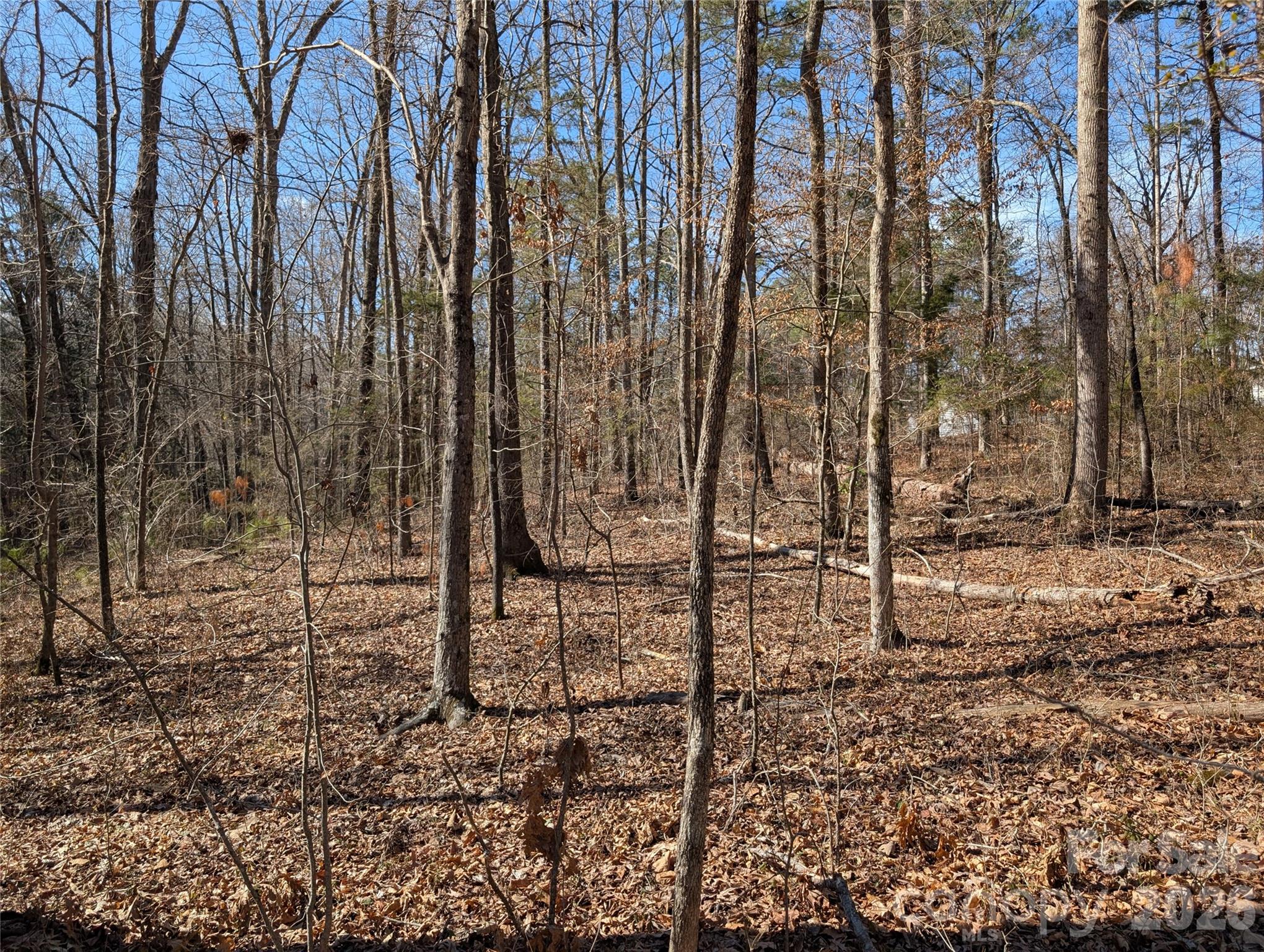 489 & 491 Mimosa Road 3 & 9 Property Photo 1