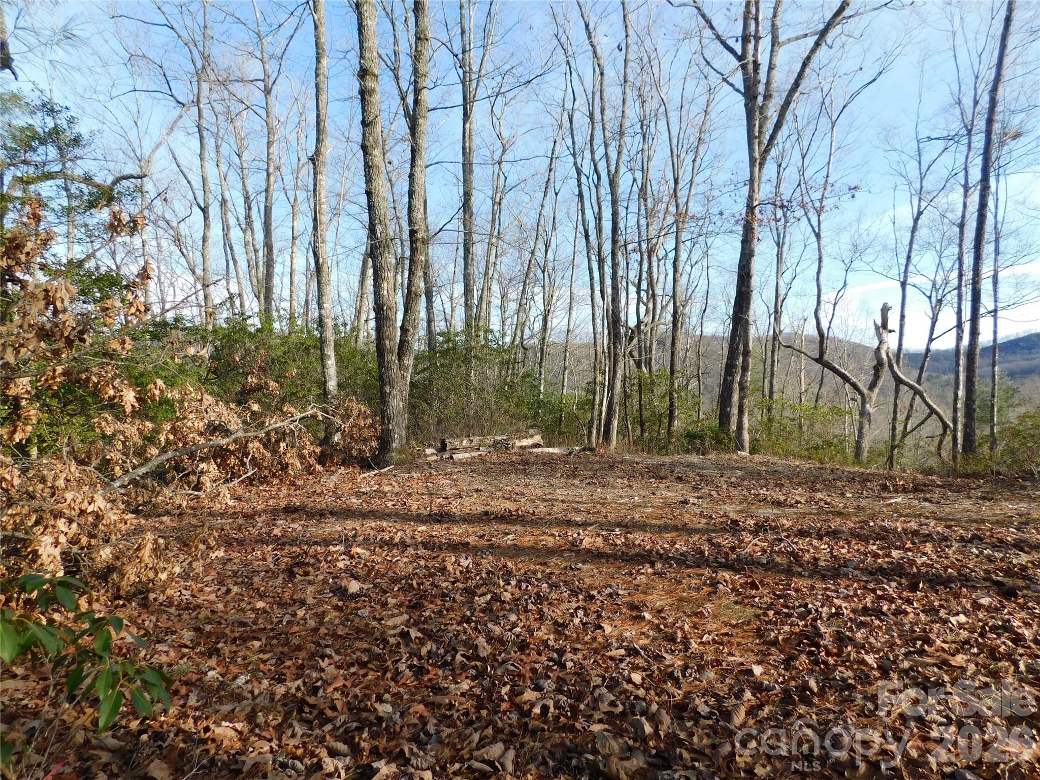 154 Laurel Thicket Drive 98 Property Photo 2
