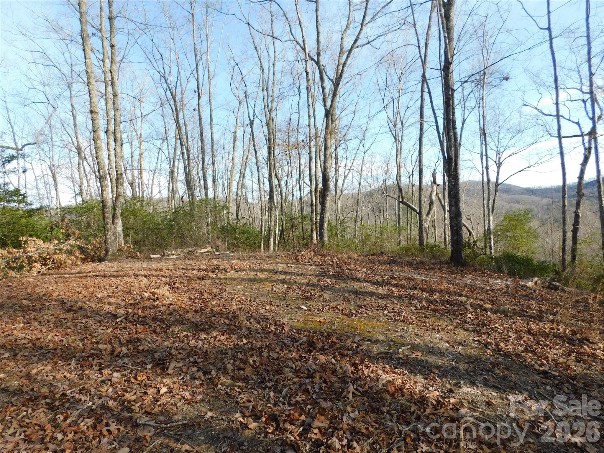 154 Laurel Thicket Drive 98 Property Photo 4