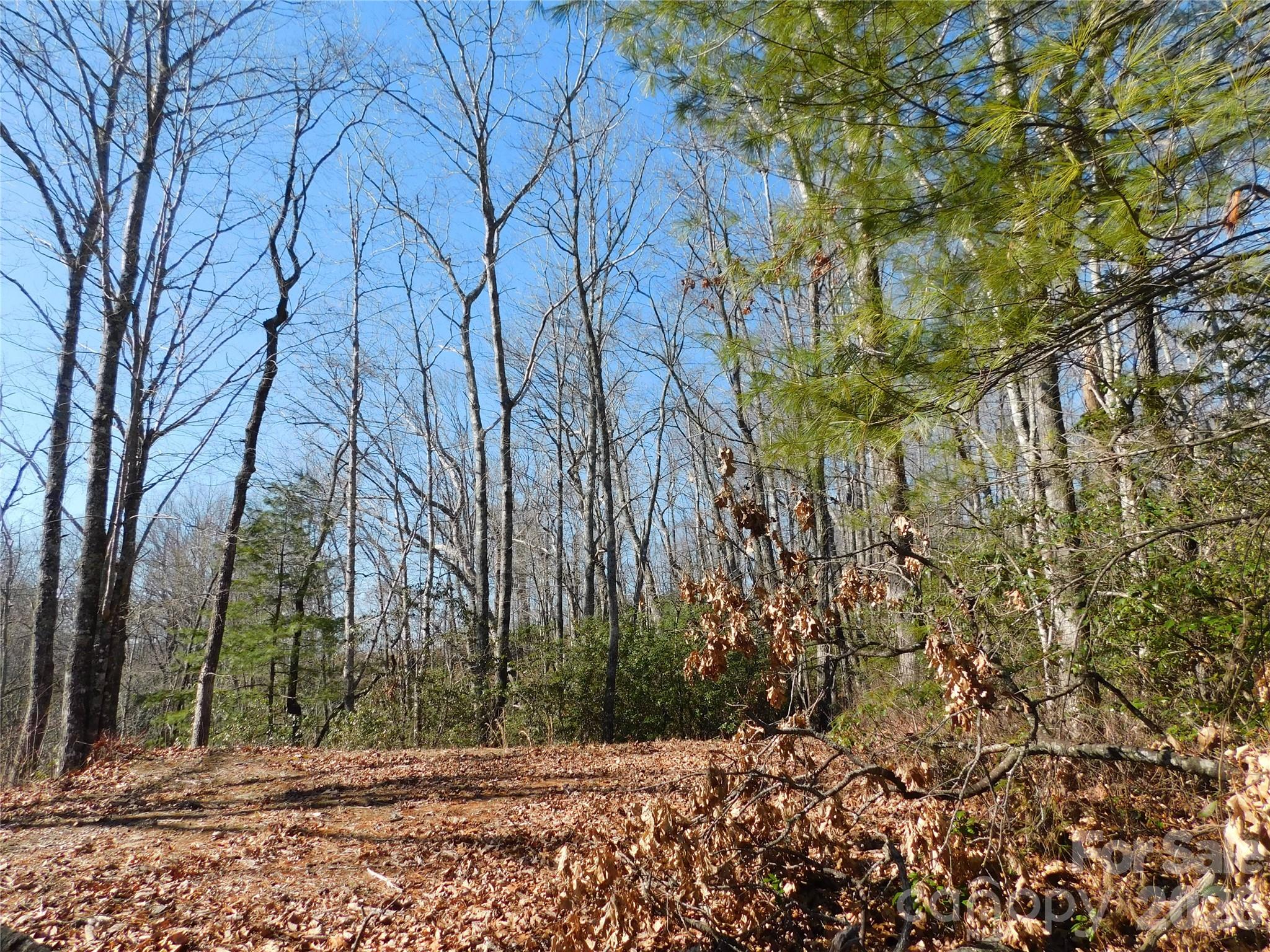 154 Laurel Thicket Drive 98 Property Photo 6