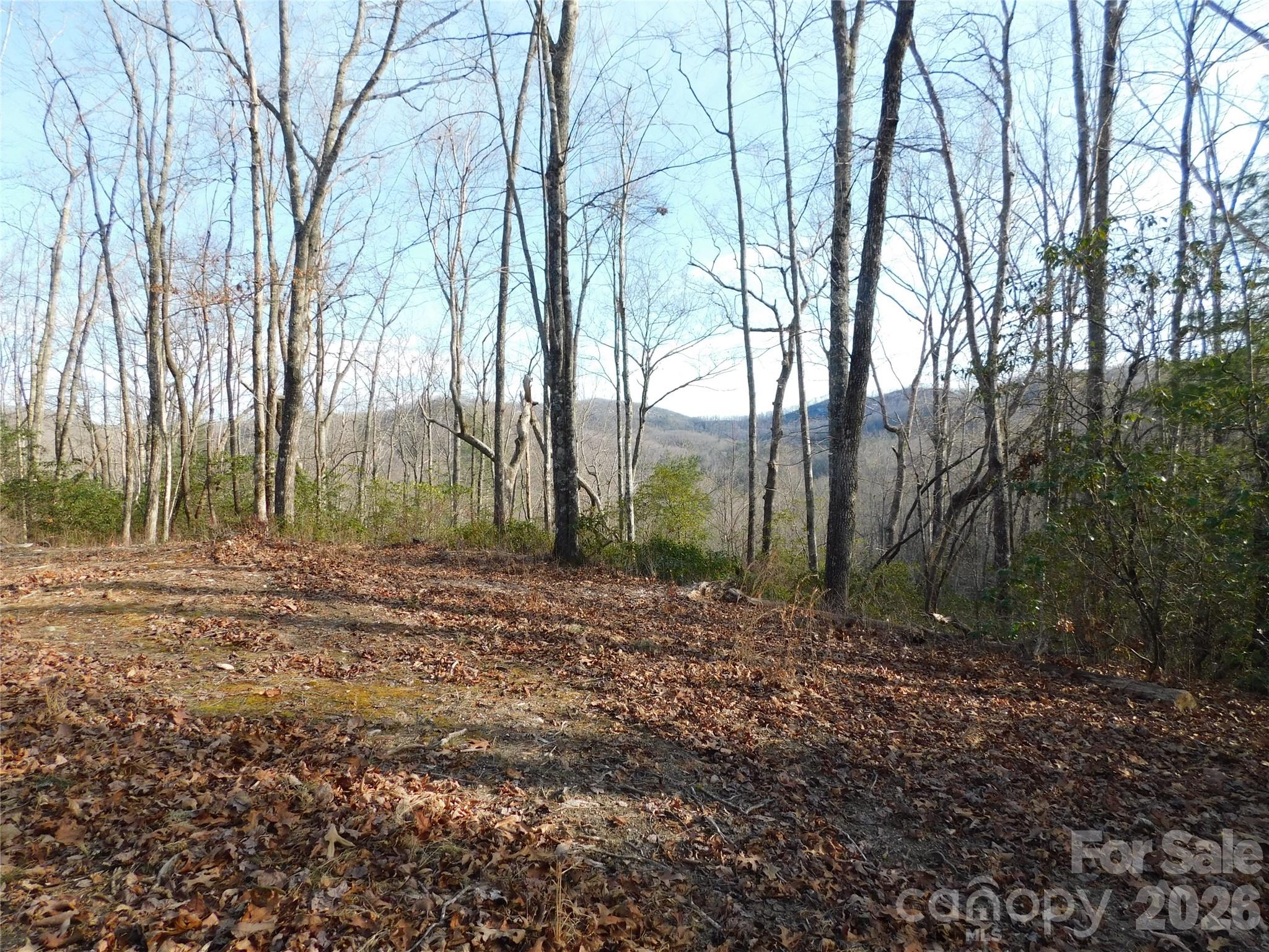 154 Laurel Thicket Drive 98 Property Photo 11