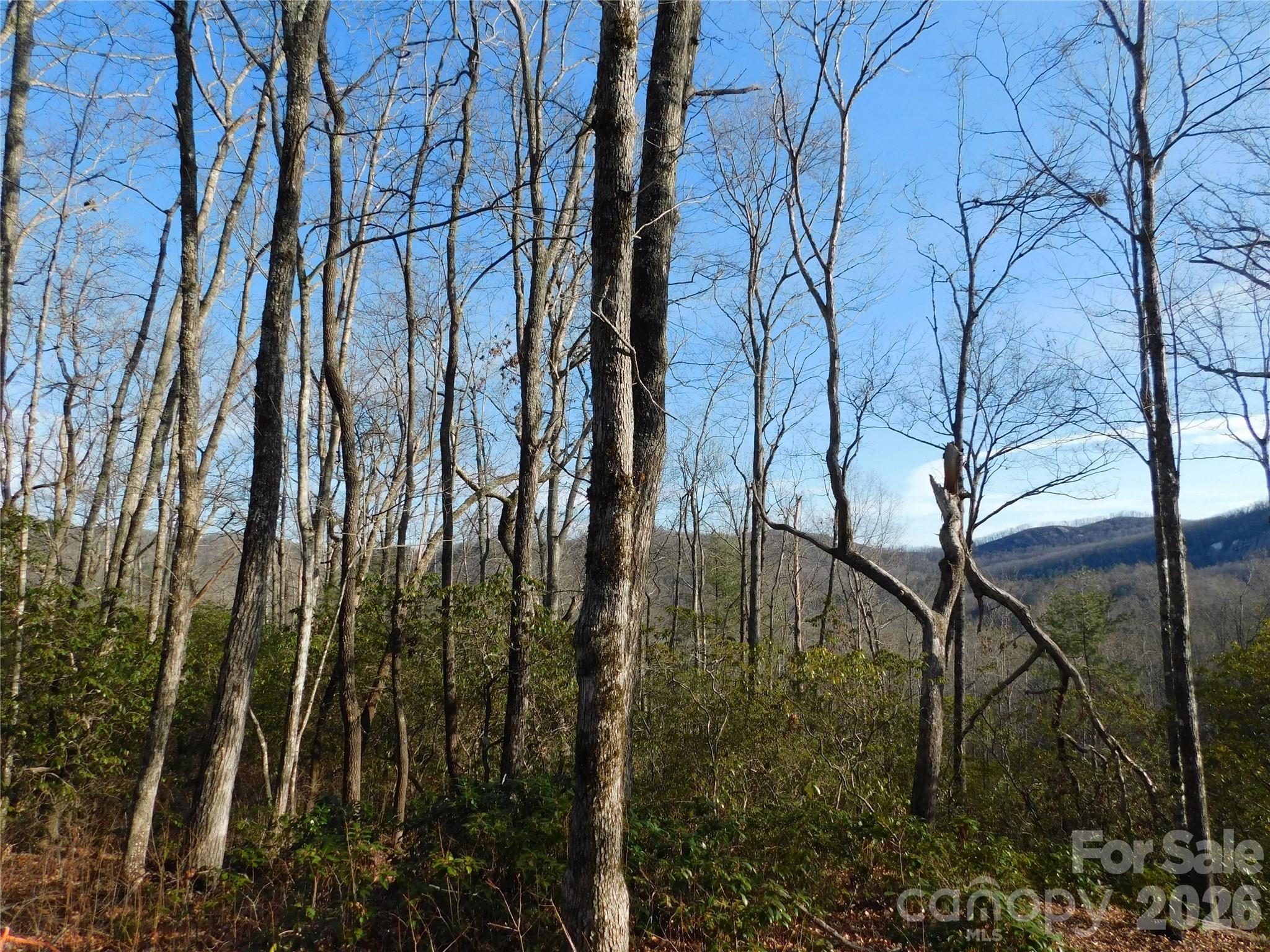 154 Laurel Thicket Drive 98 Property Photo 16