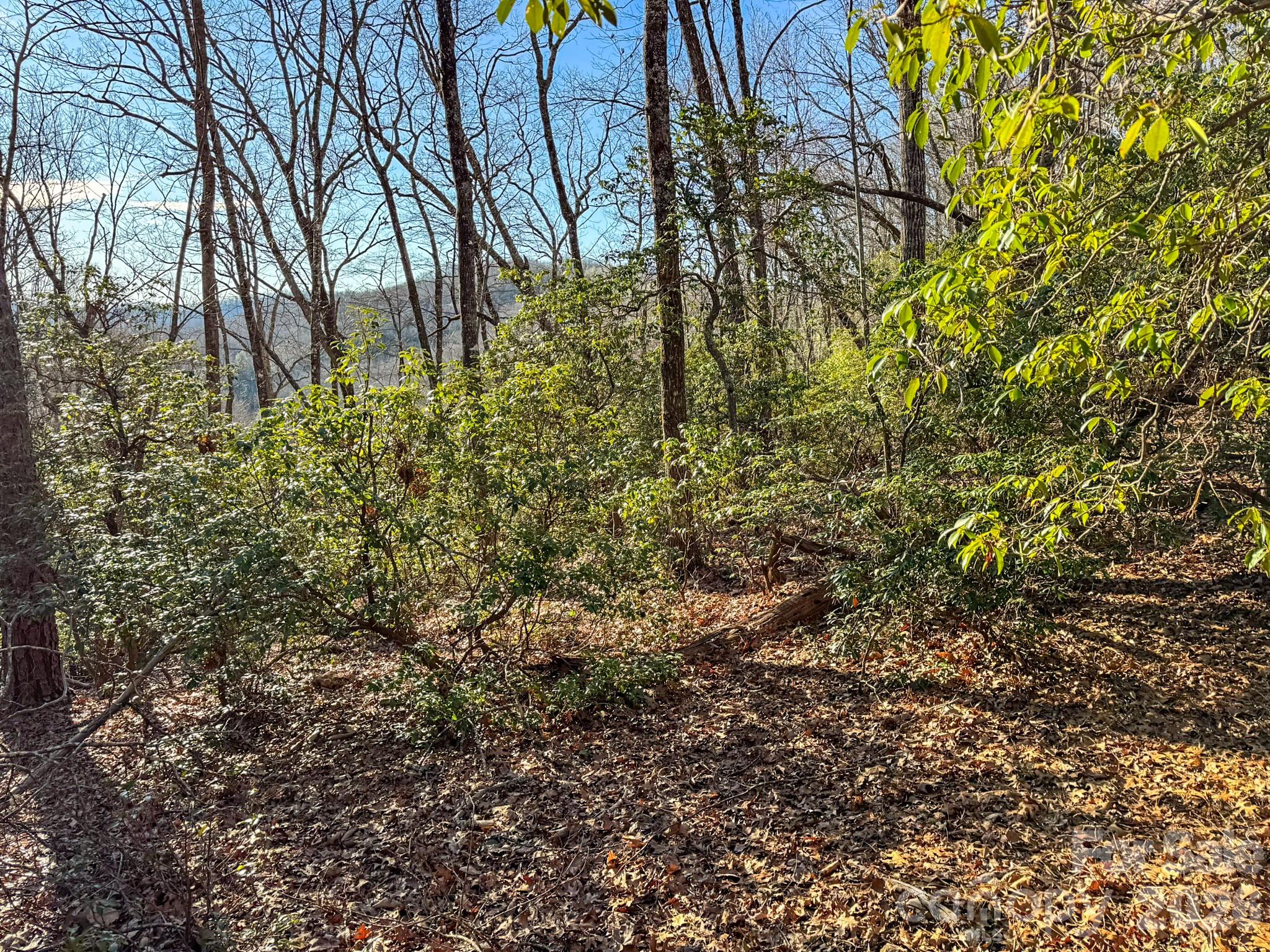 1647 Mills River Way Property Photo 1