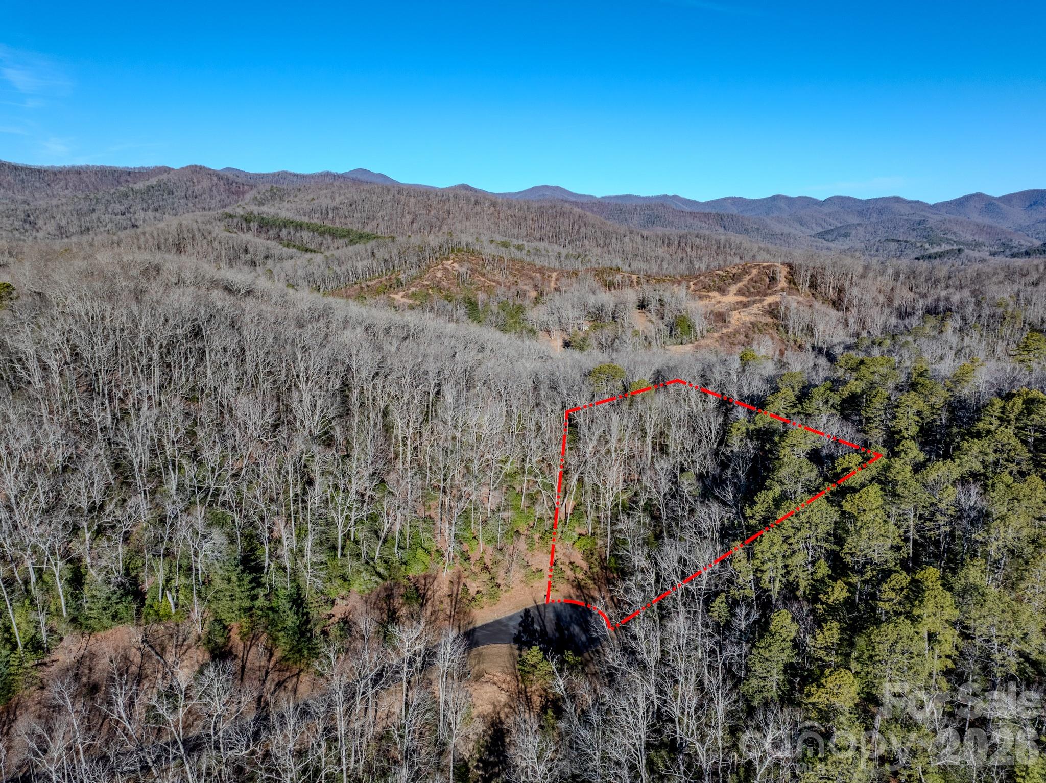 1647 Mills River Way Property Photo 2