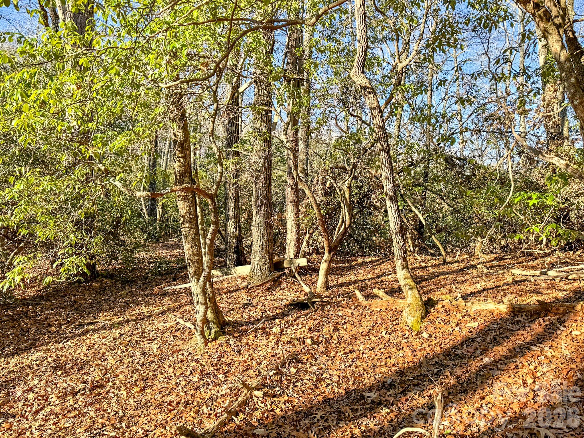1647 Mills River Way Property Photo 3