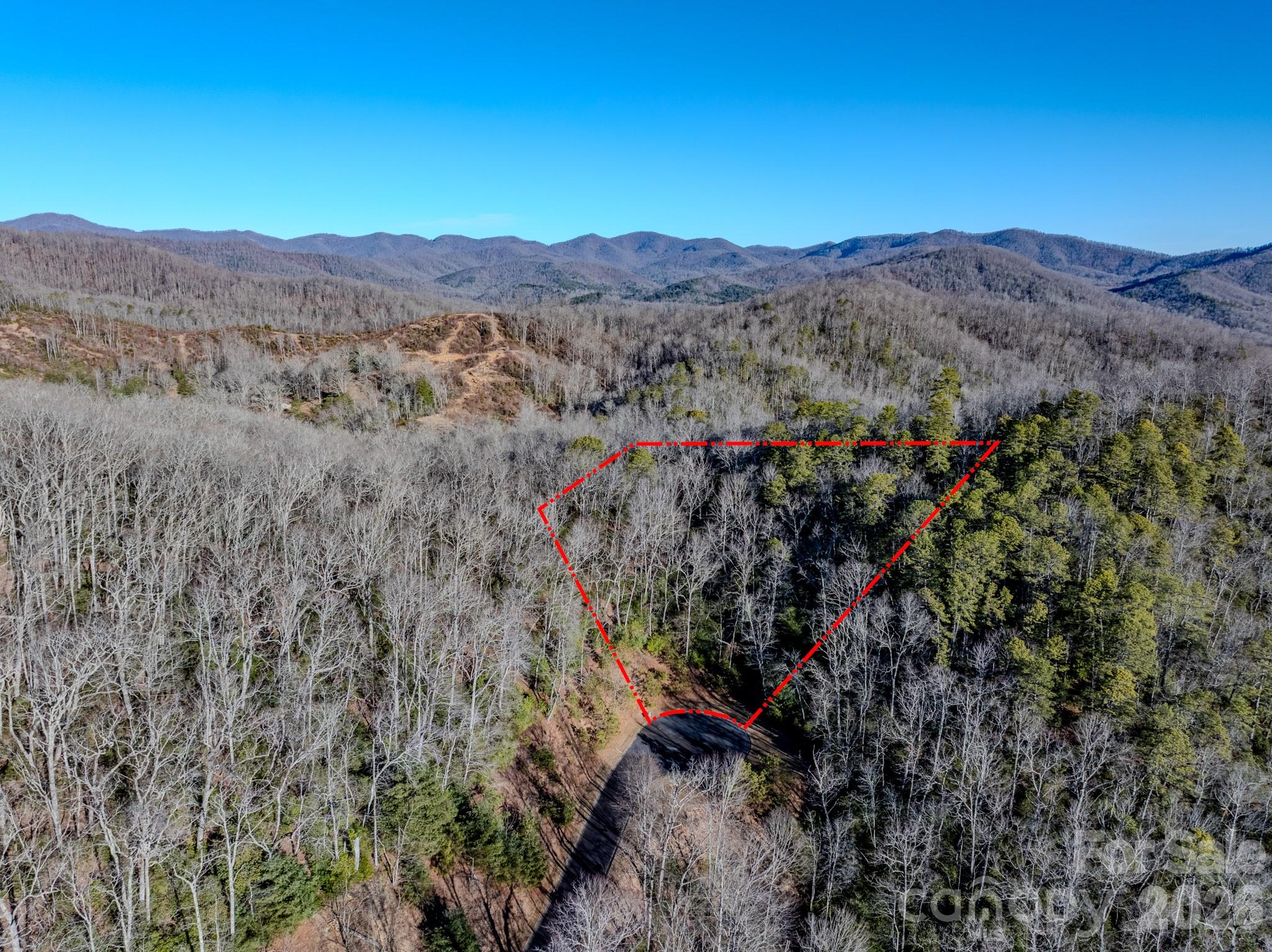 1647 Mills River Way Property Photo 4