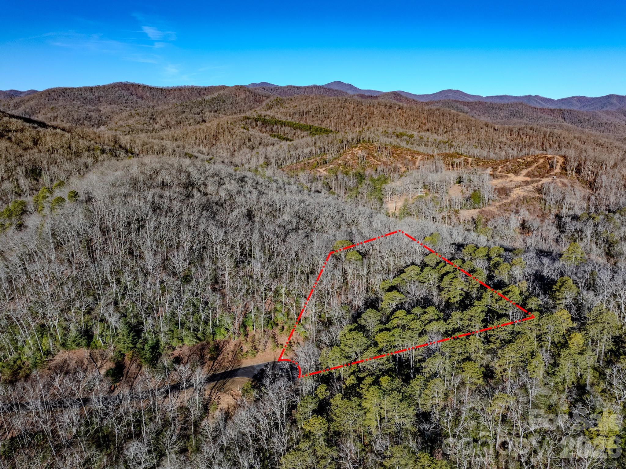 1647 Mills River Way Property Photo 6