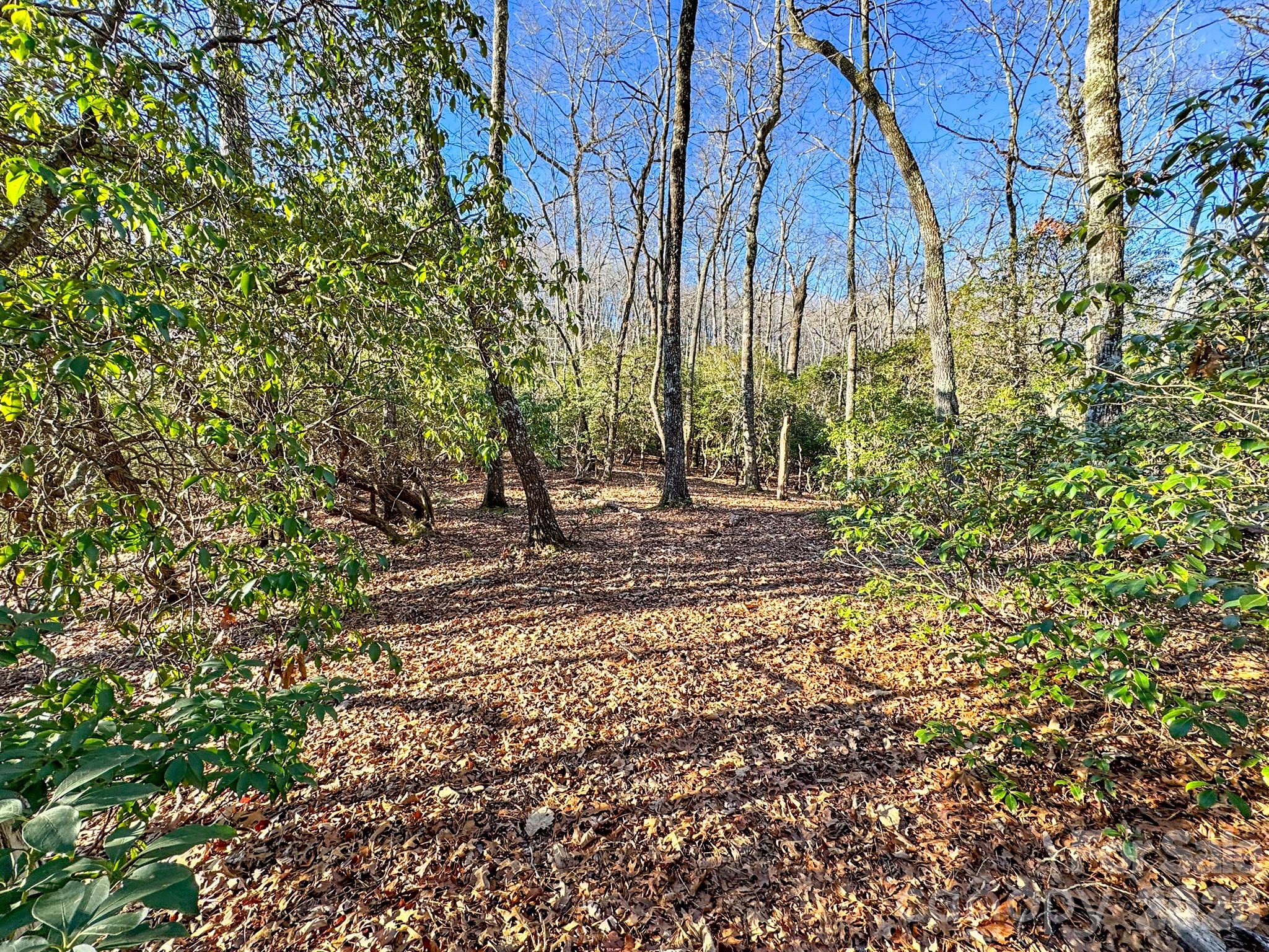 1647 Mills River Way Property Photo 7