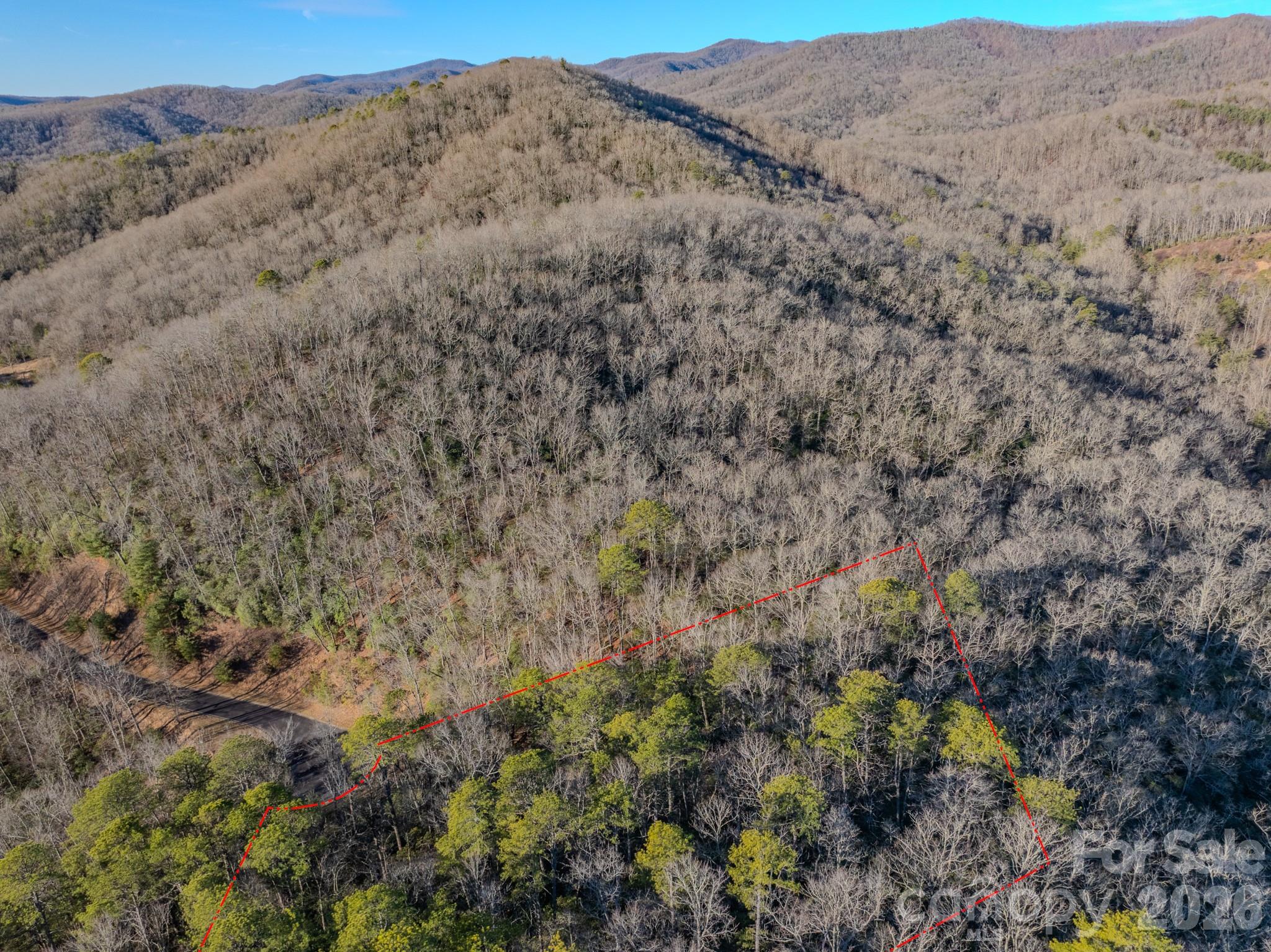 1647 Mills River Way Property Photo 8