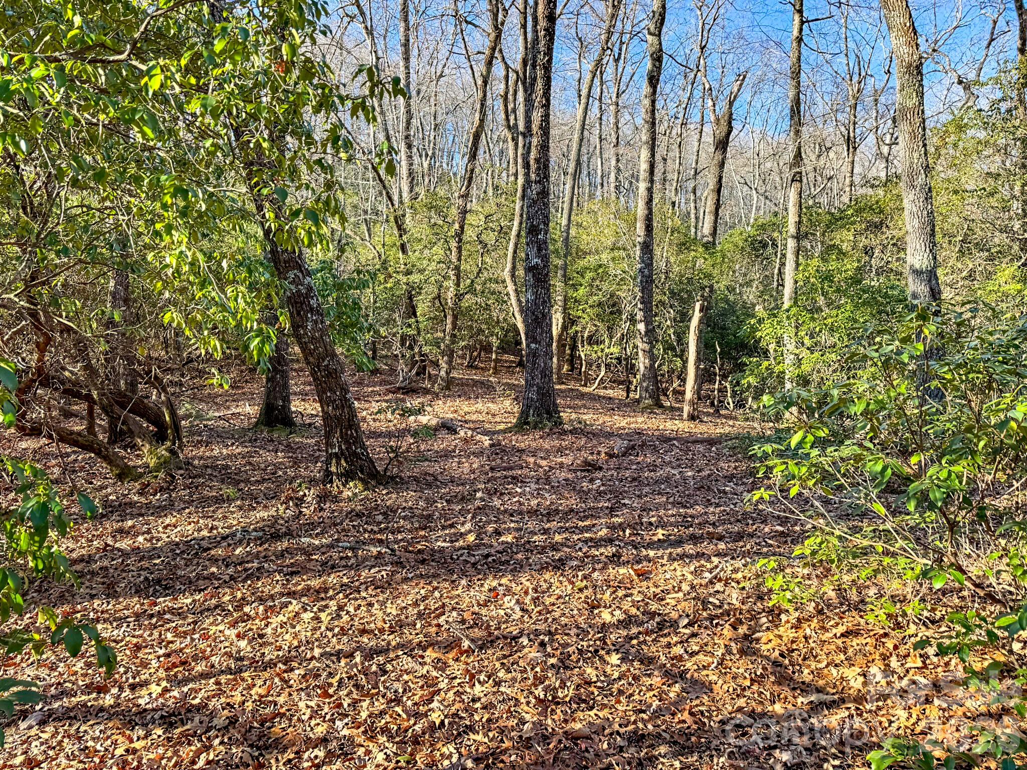1647 Mills River Way Property Photo 9