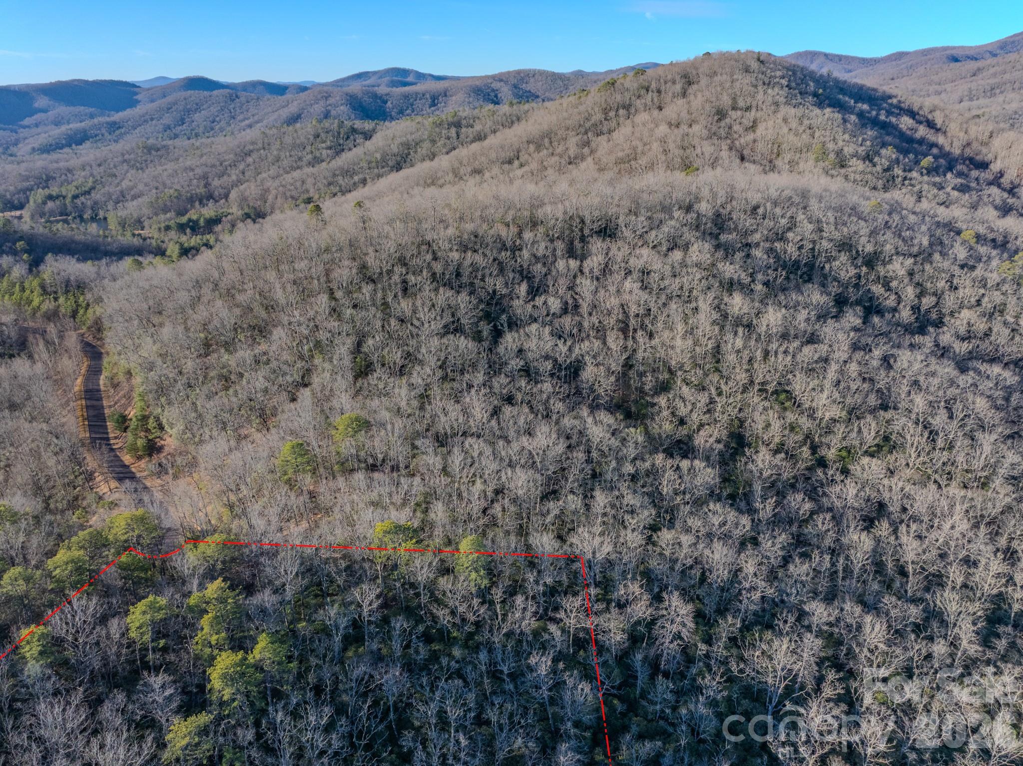 1647 Mills River Way Property Photo 10