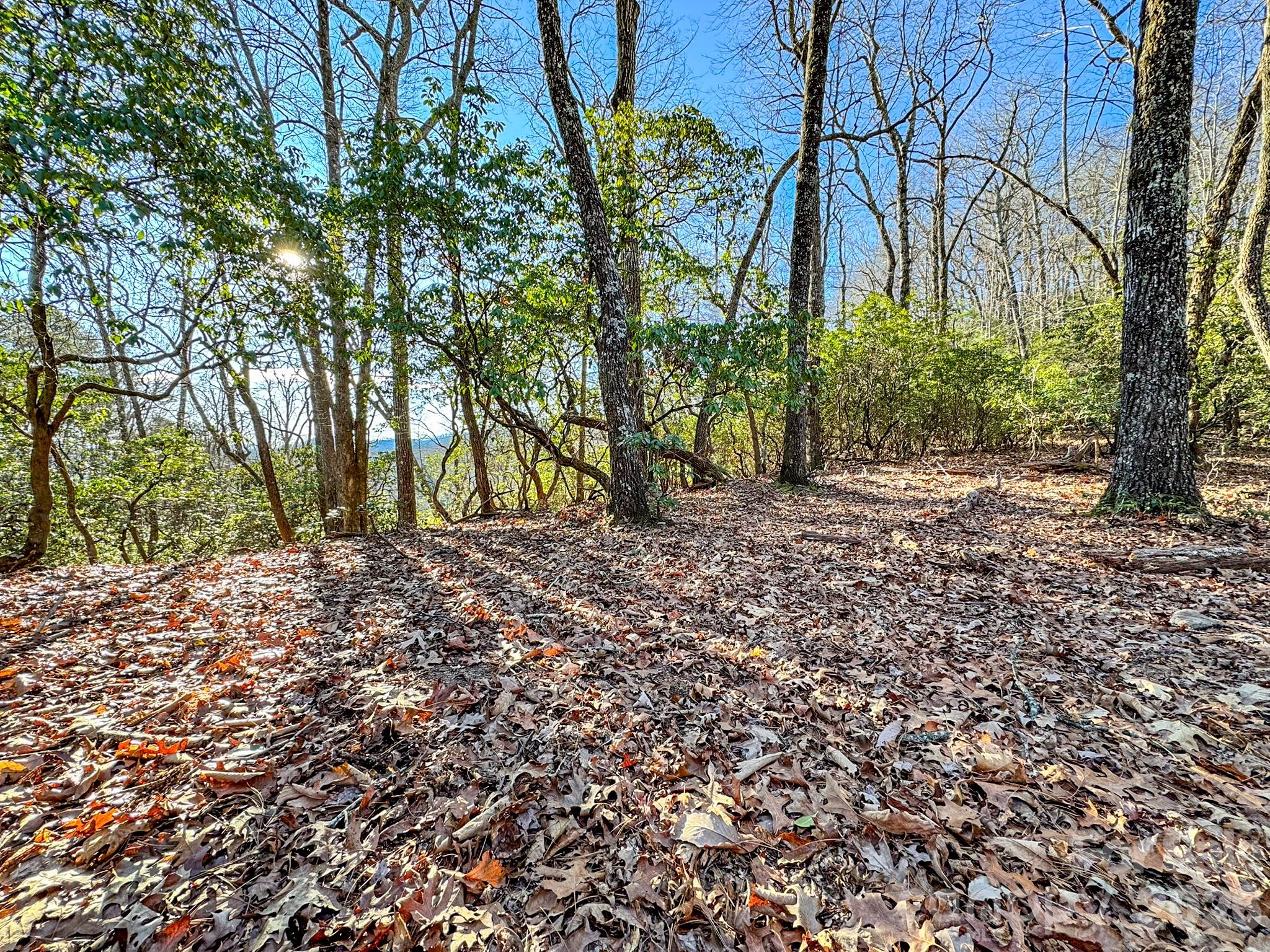 1647 Mills River Way Property Photo 11
