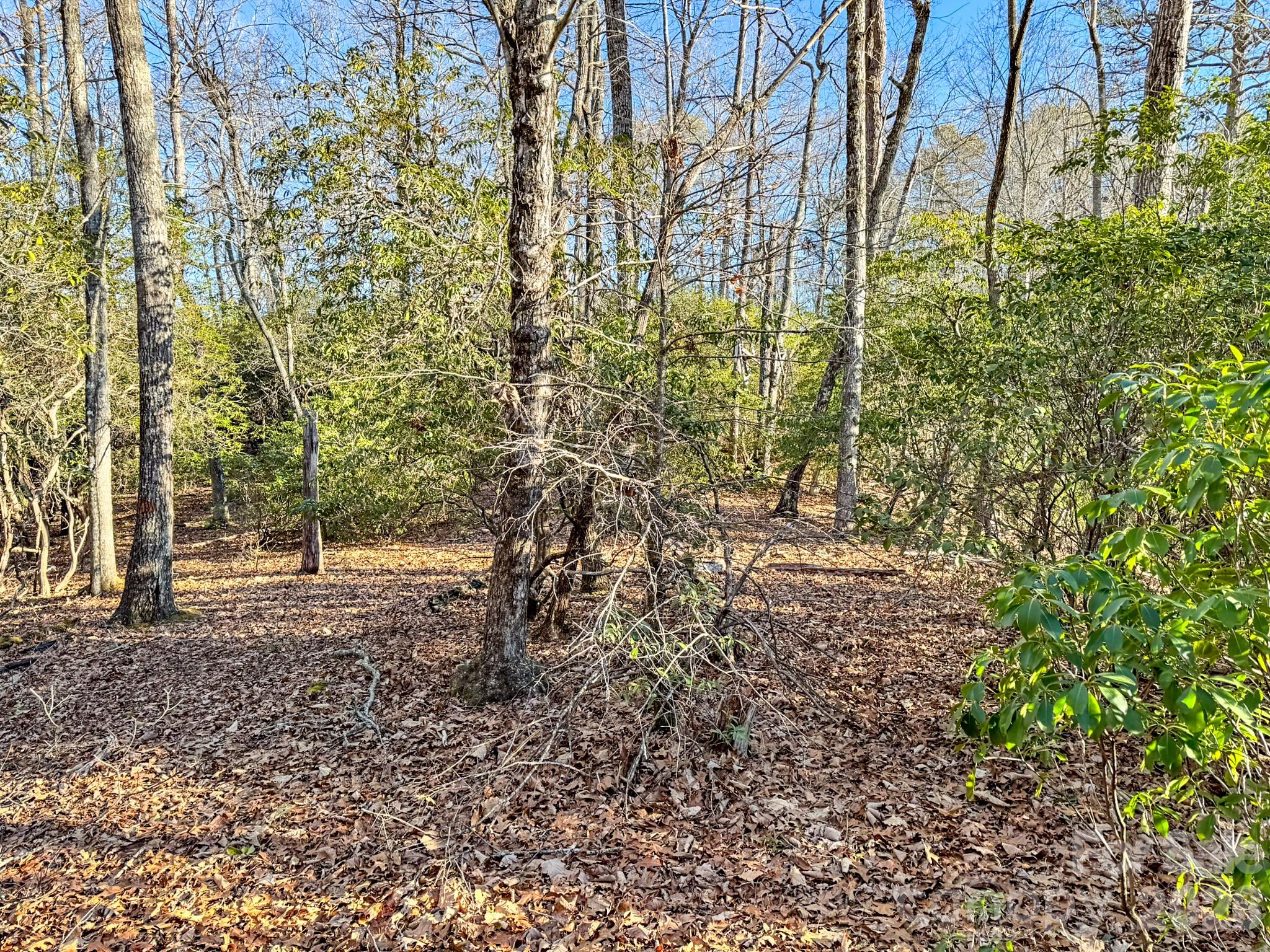 1647 Mills River Way Property Photo 19