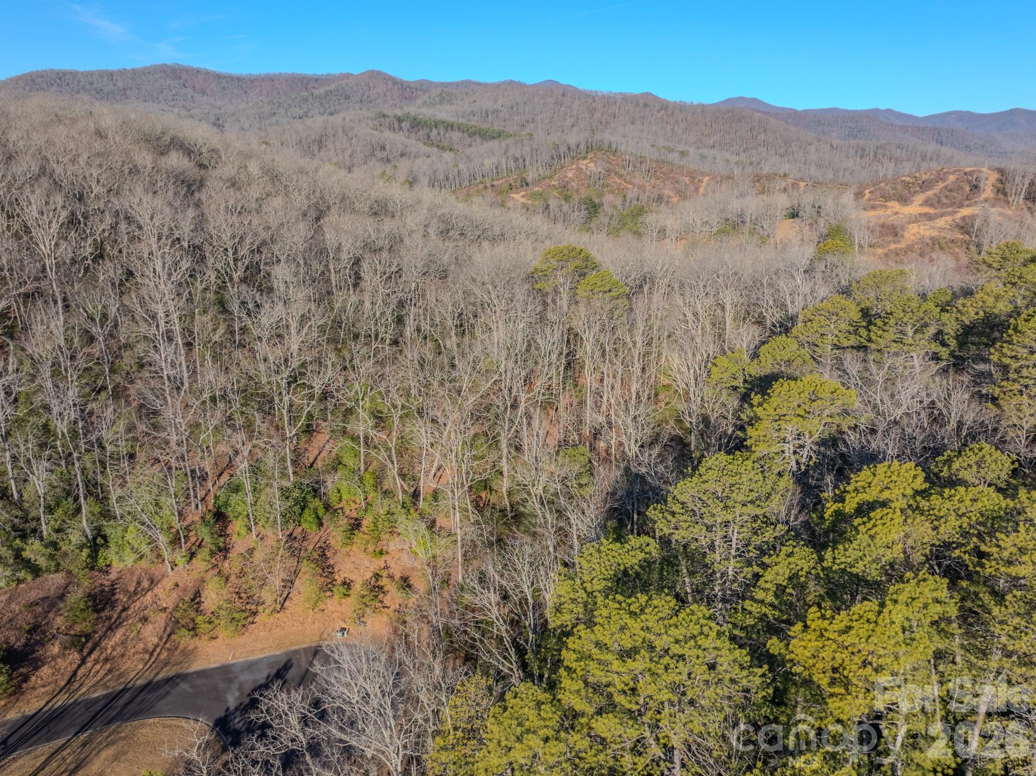 1647 Mills River Way Property Photo 20