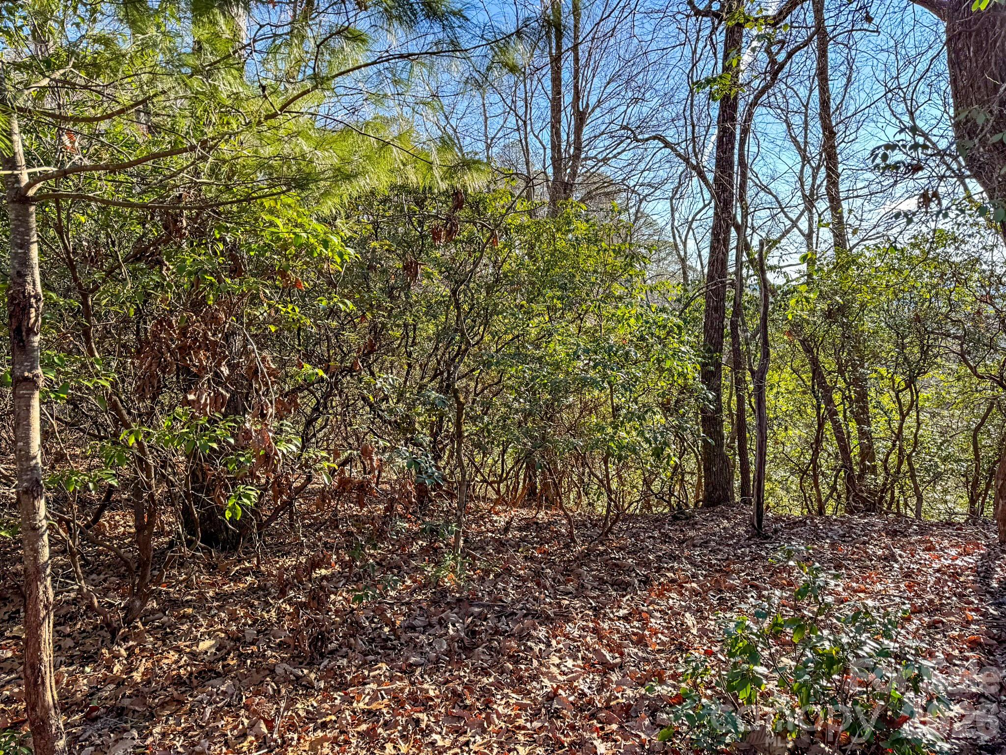 1647 Mills River Way Property Photo 21