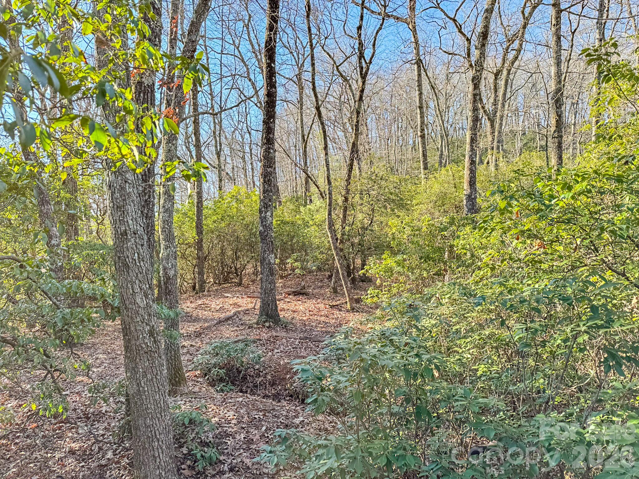 1647 Mills River Way Property Photo 25