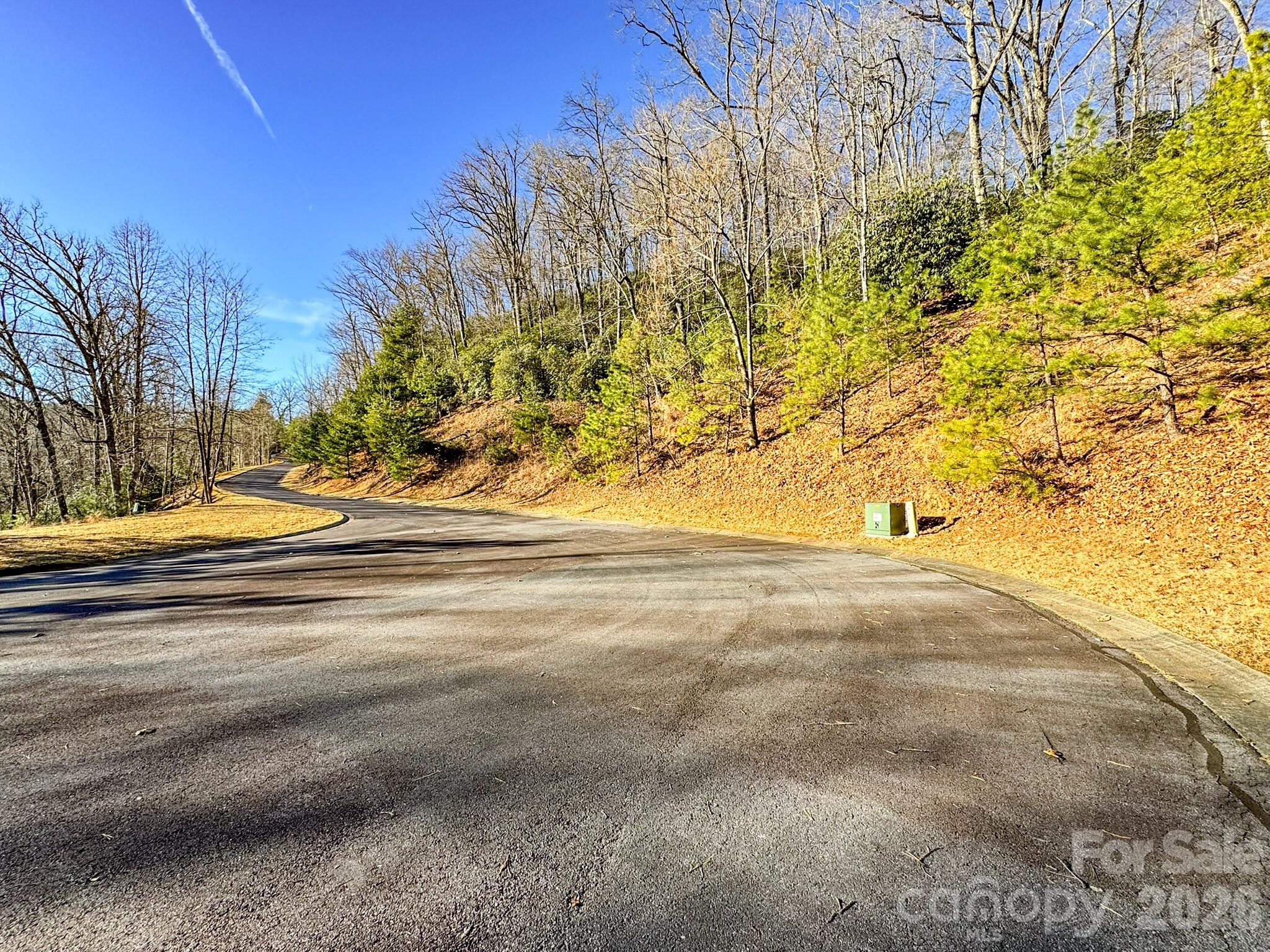 1647 Mills River Way Property Photo 28