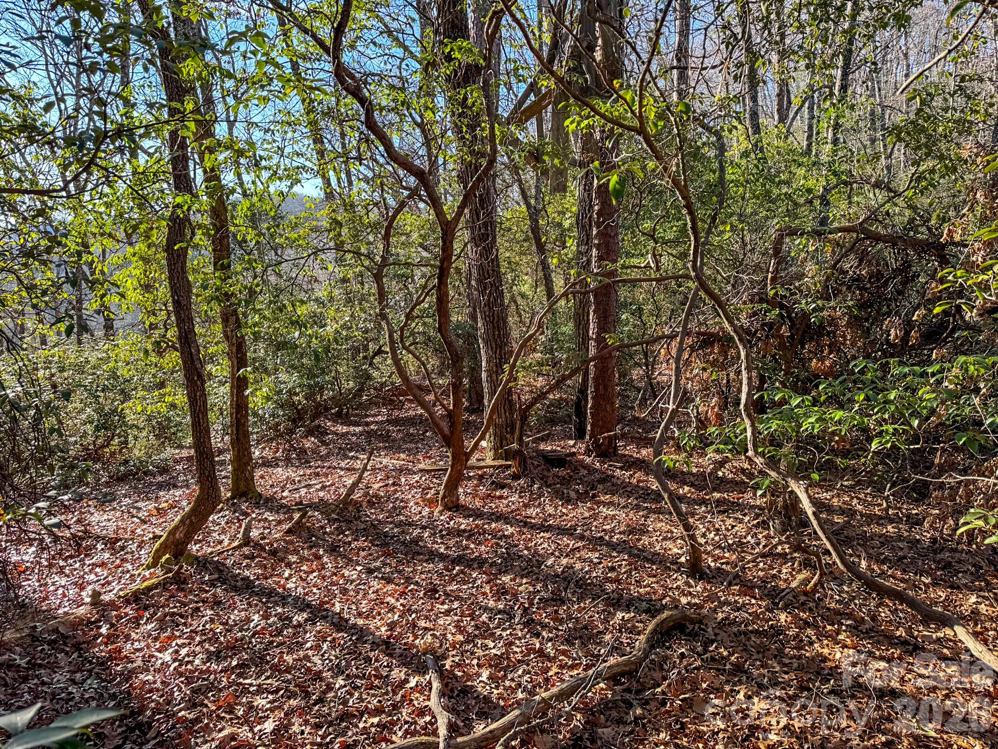 1647 Mills River Way Property Photo 29