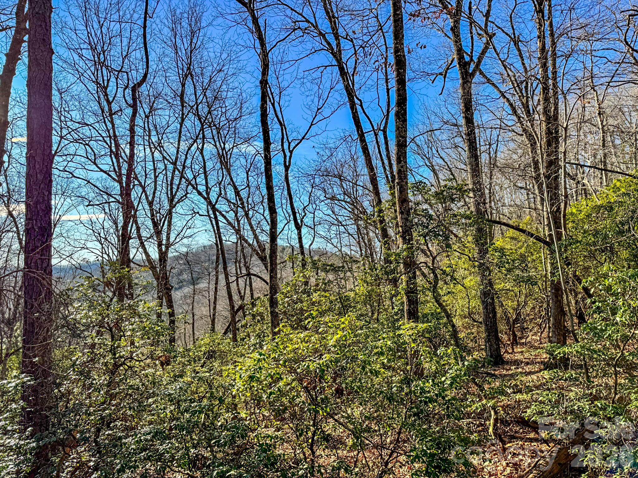1647 Mills River Way Property Photo 31