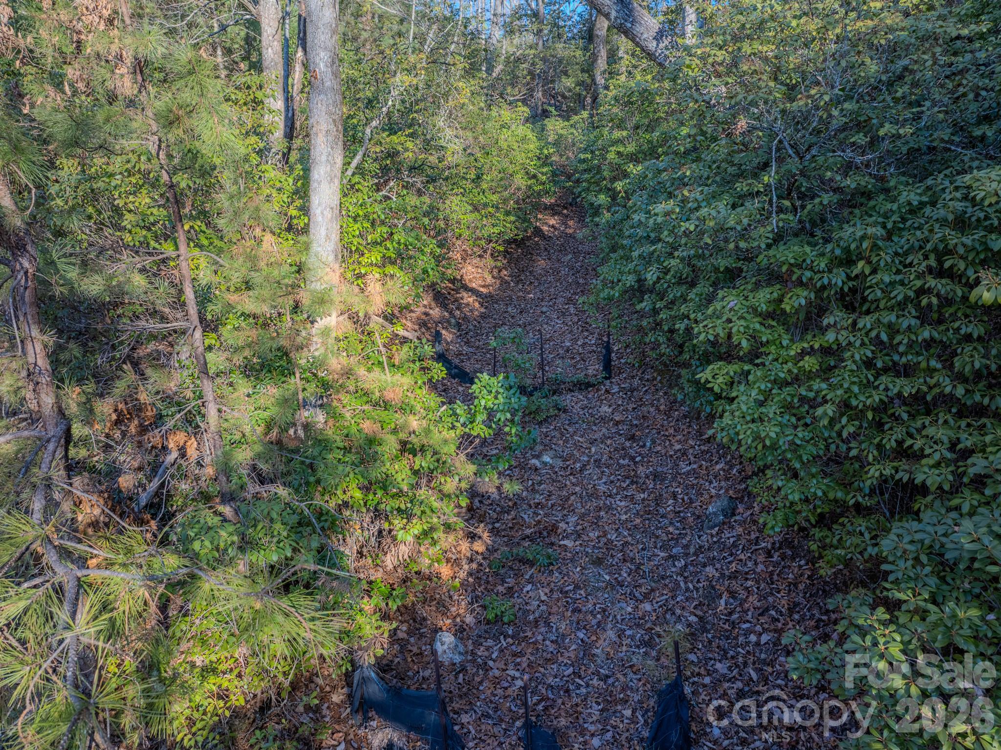 1647 Mills River Way Property Photo 33