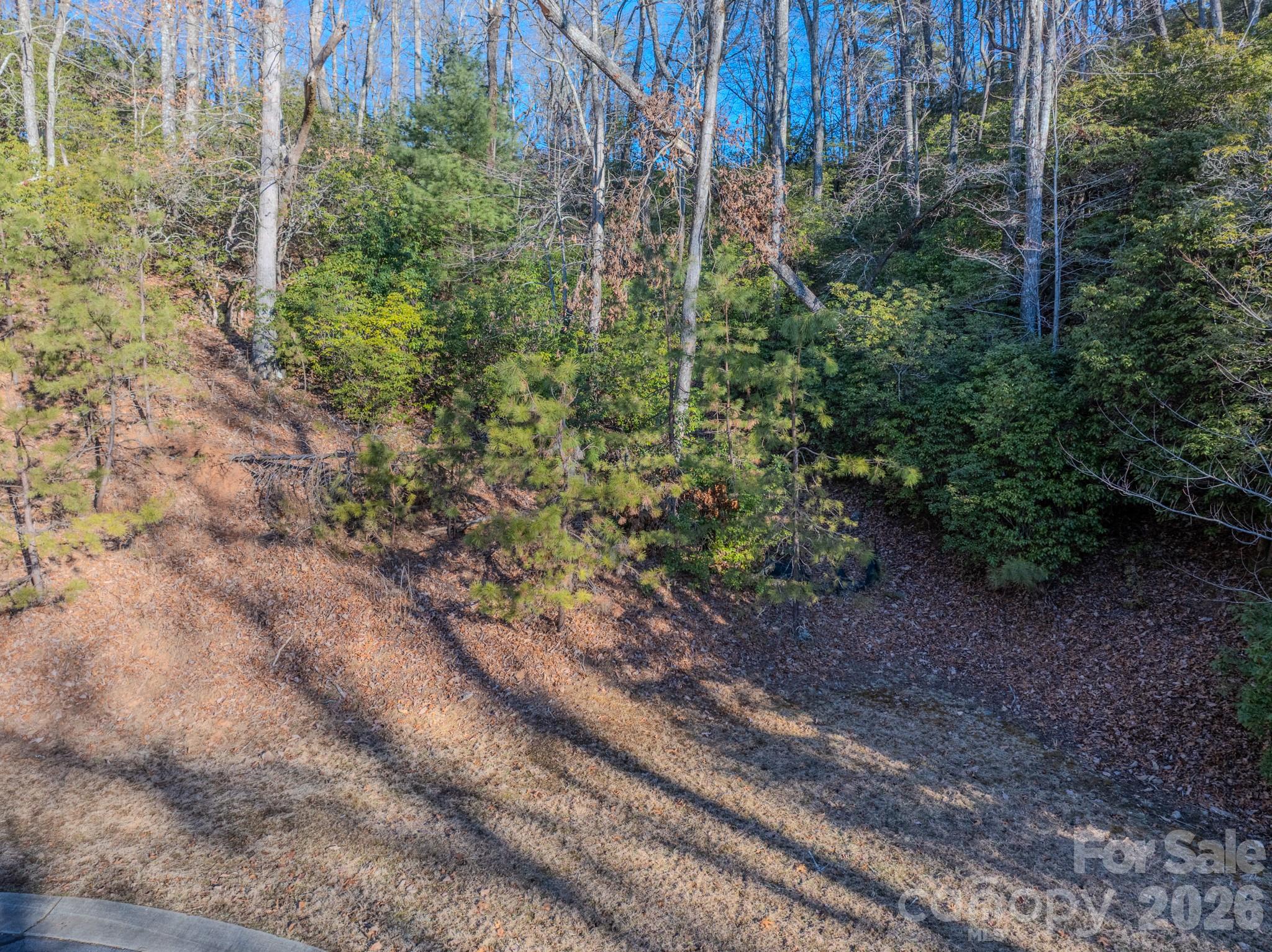 1647 Mills River Way Property Photo 34